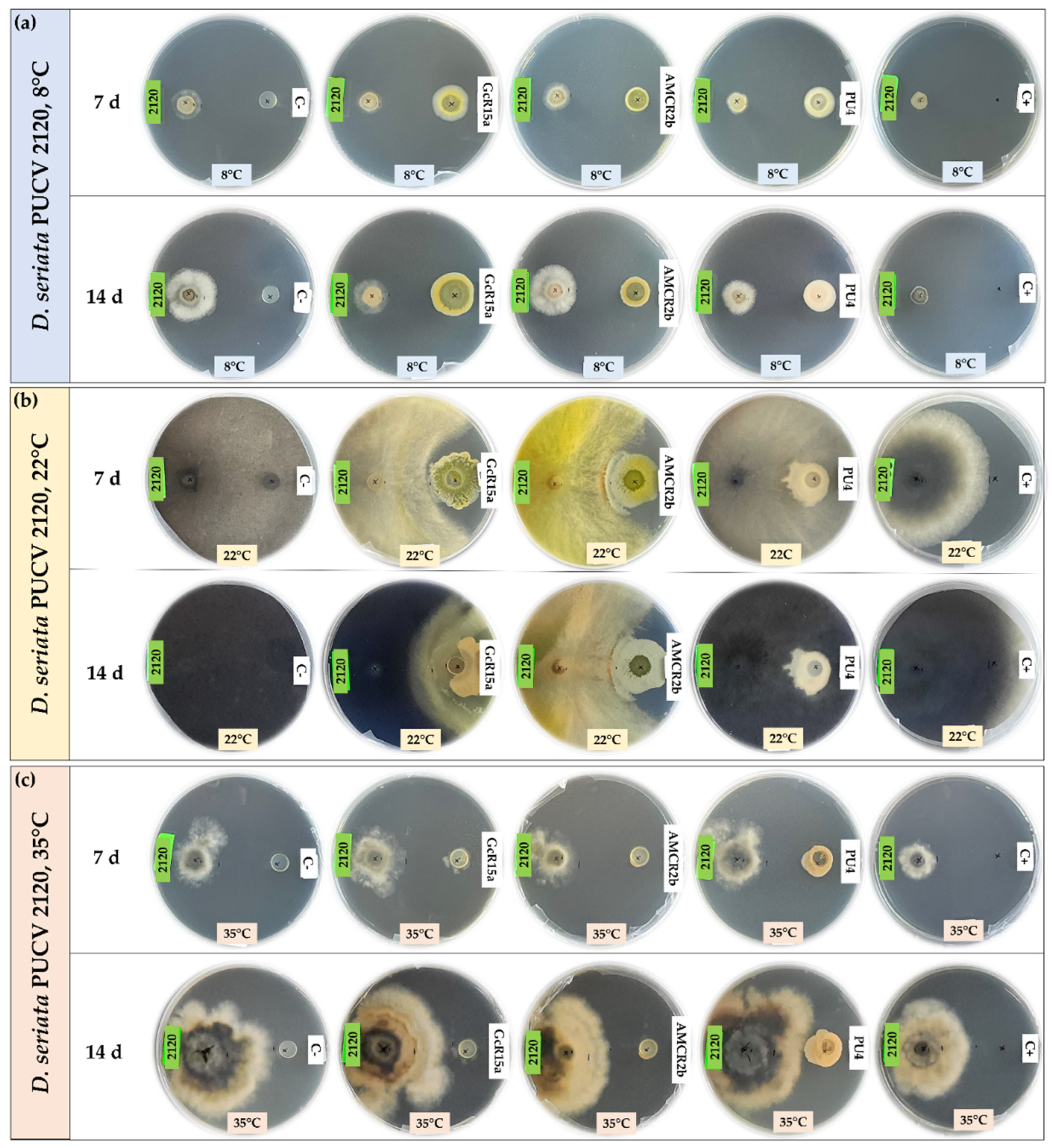 Preprints 91747 g001