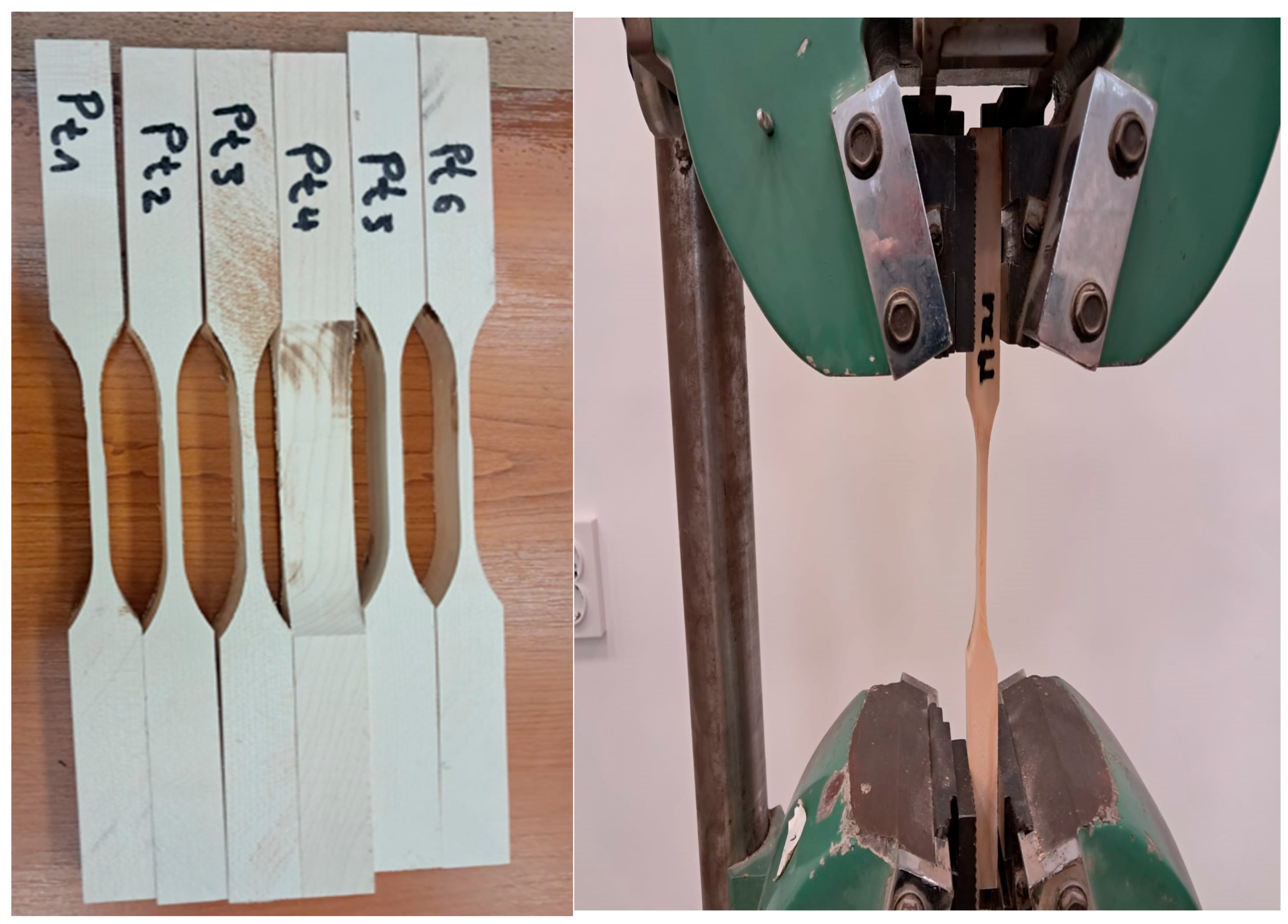 Preprints 169040 g002