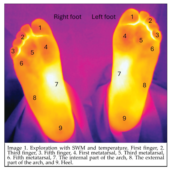 Preprints 163240 i001