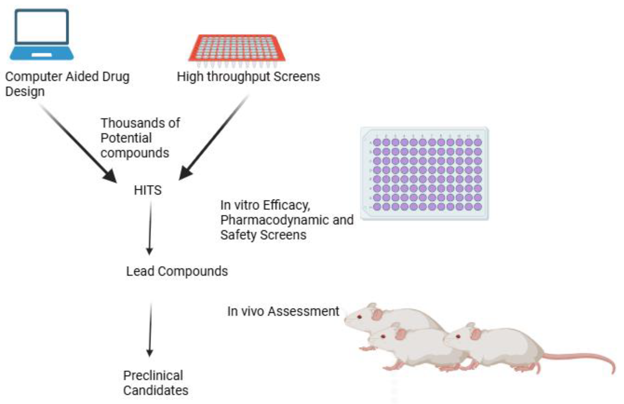 Preprints 146953 g001
