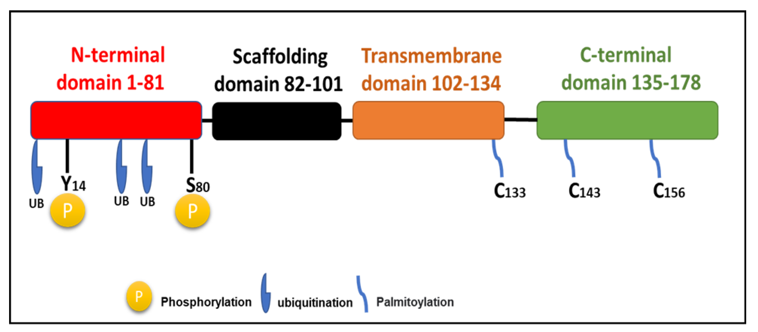 Preprints 187328 g001