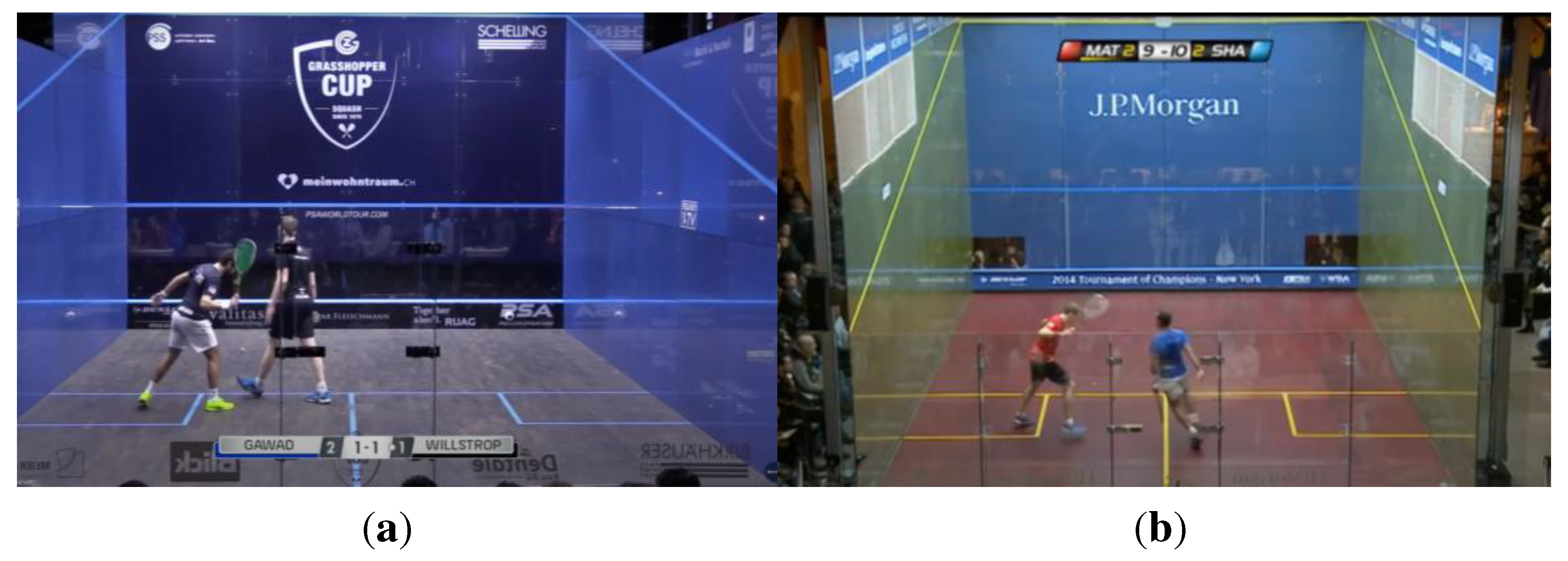 Preprints 93561 g010