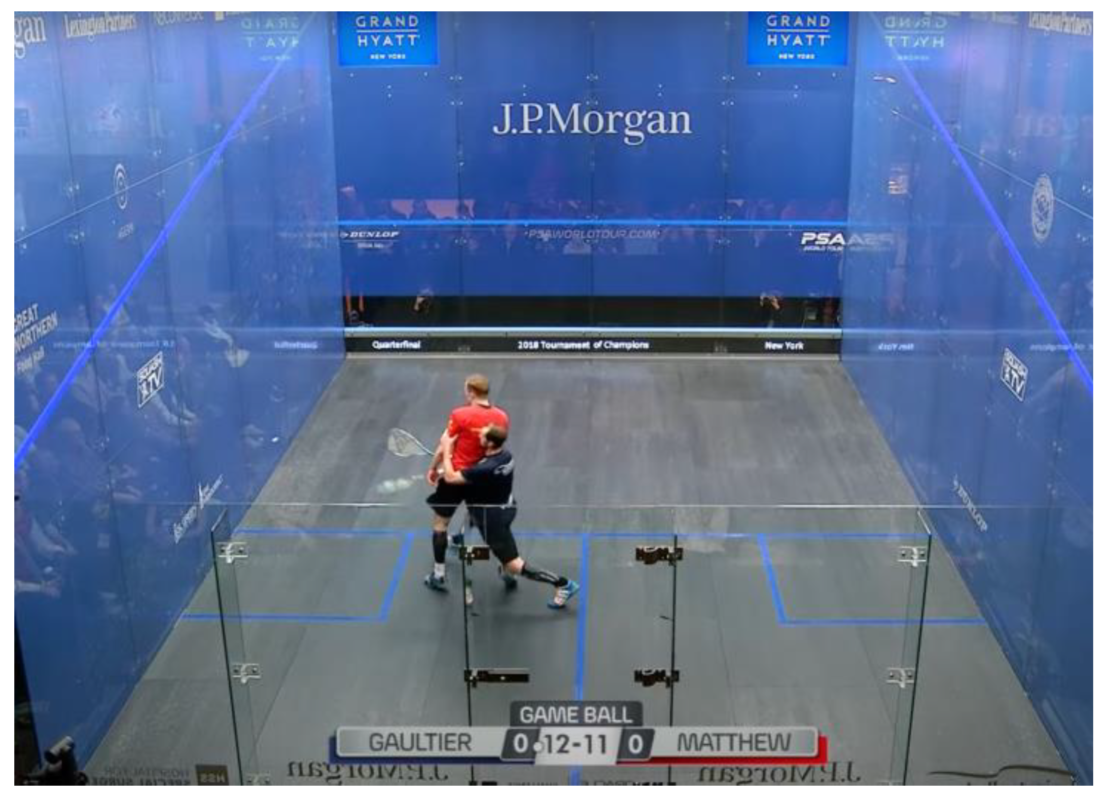 Preprints 93561 g036