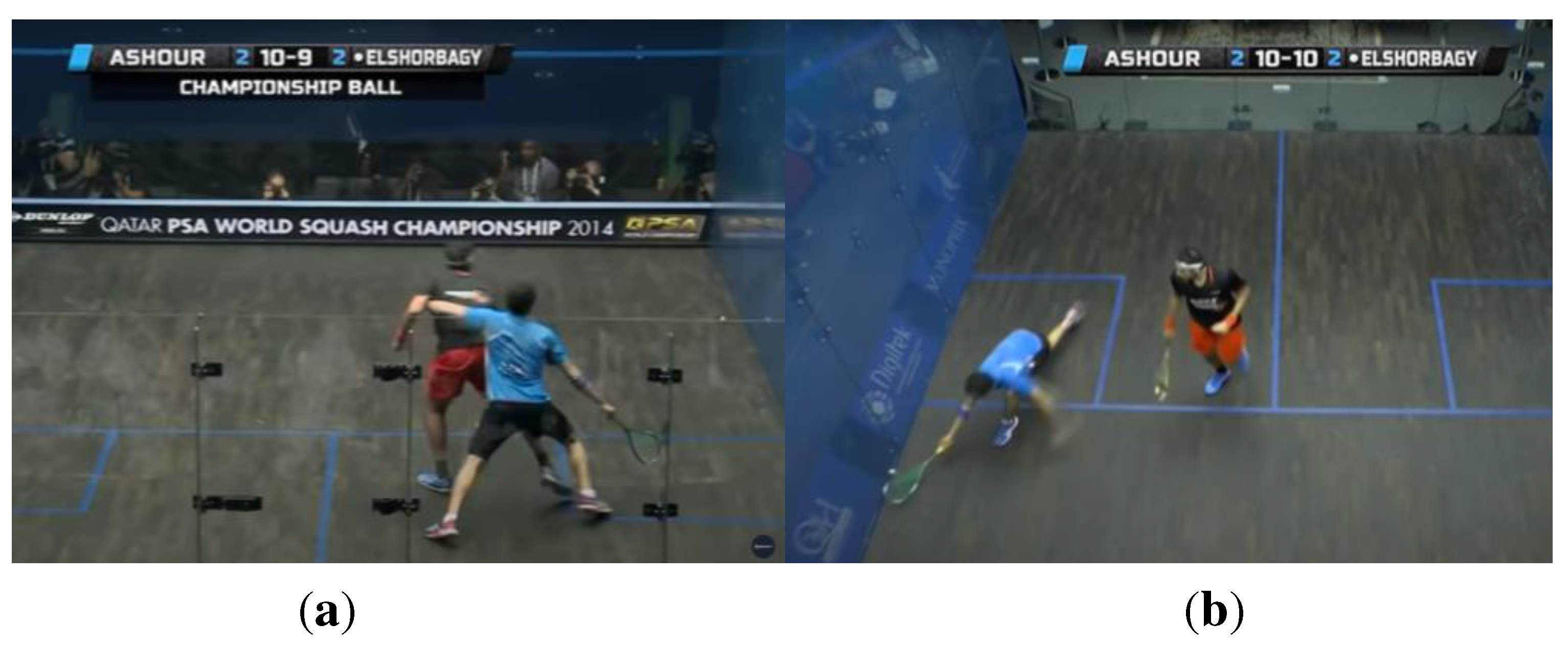 Preprints 93561 g044