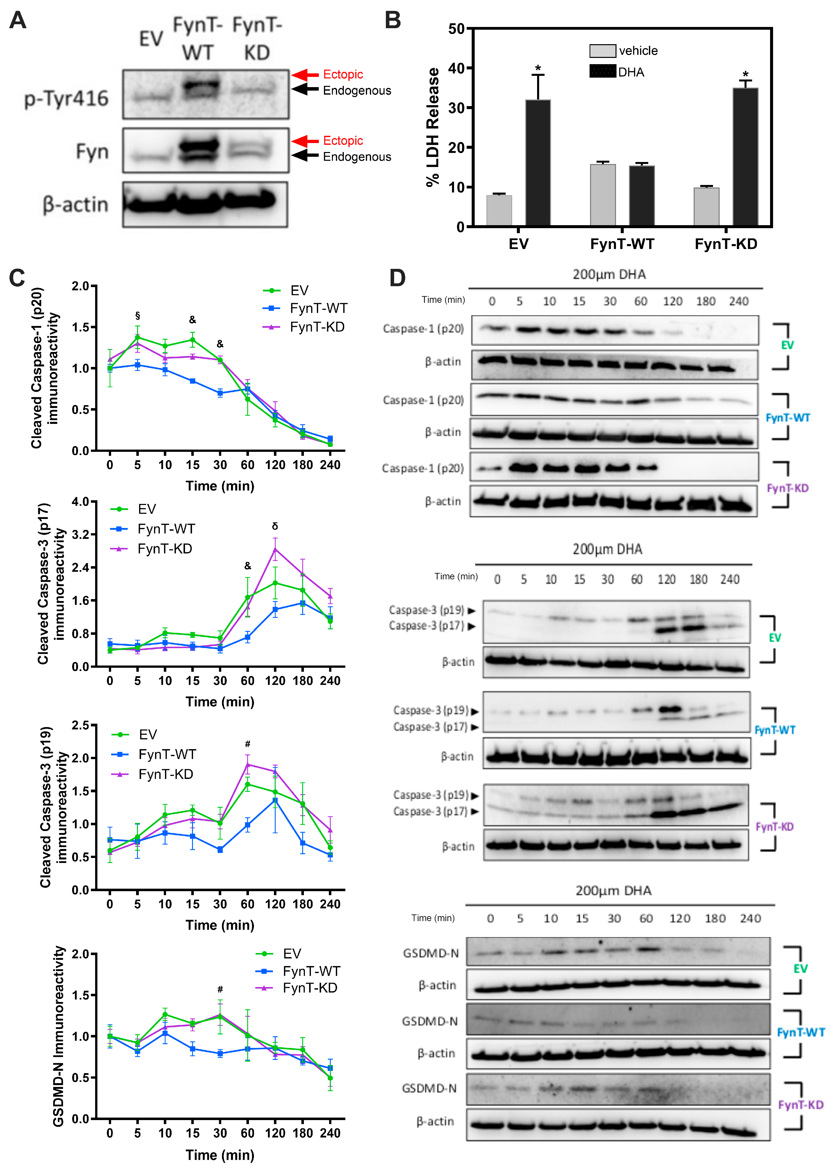 Preprints 177712 g002