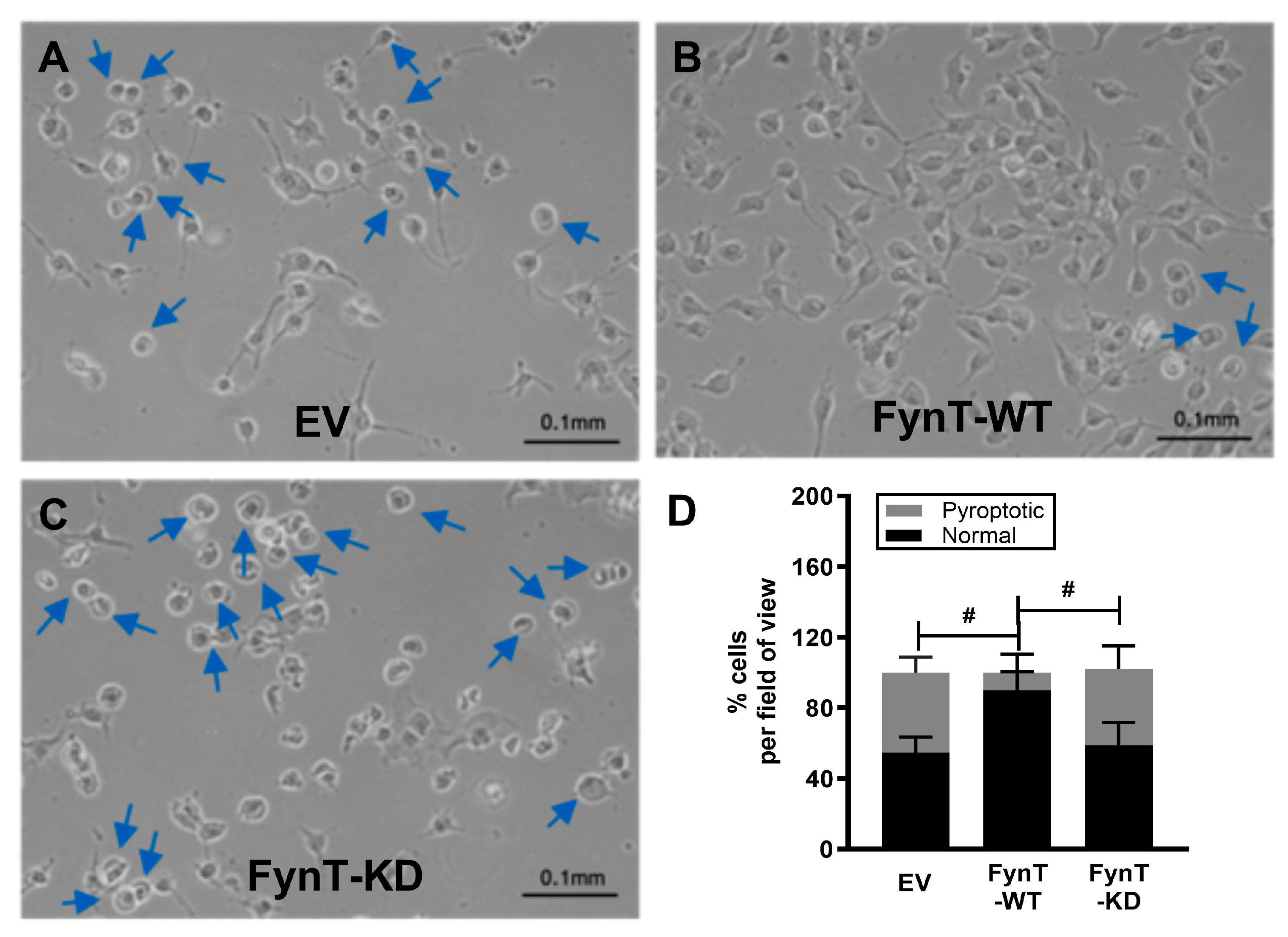 Preprints 177712 g004
