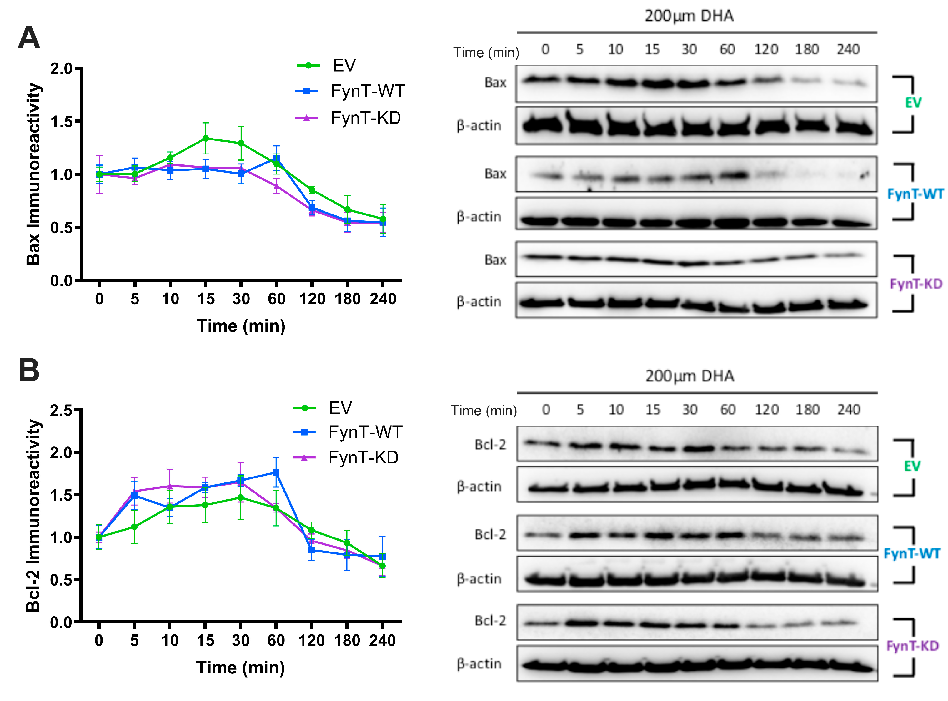 Preprints 177712 g005