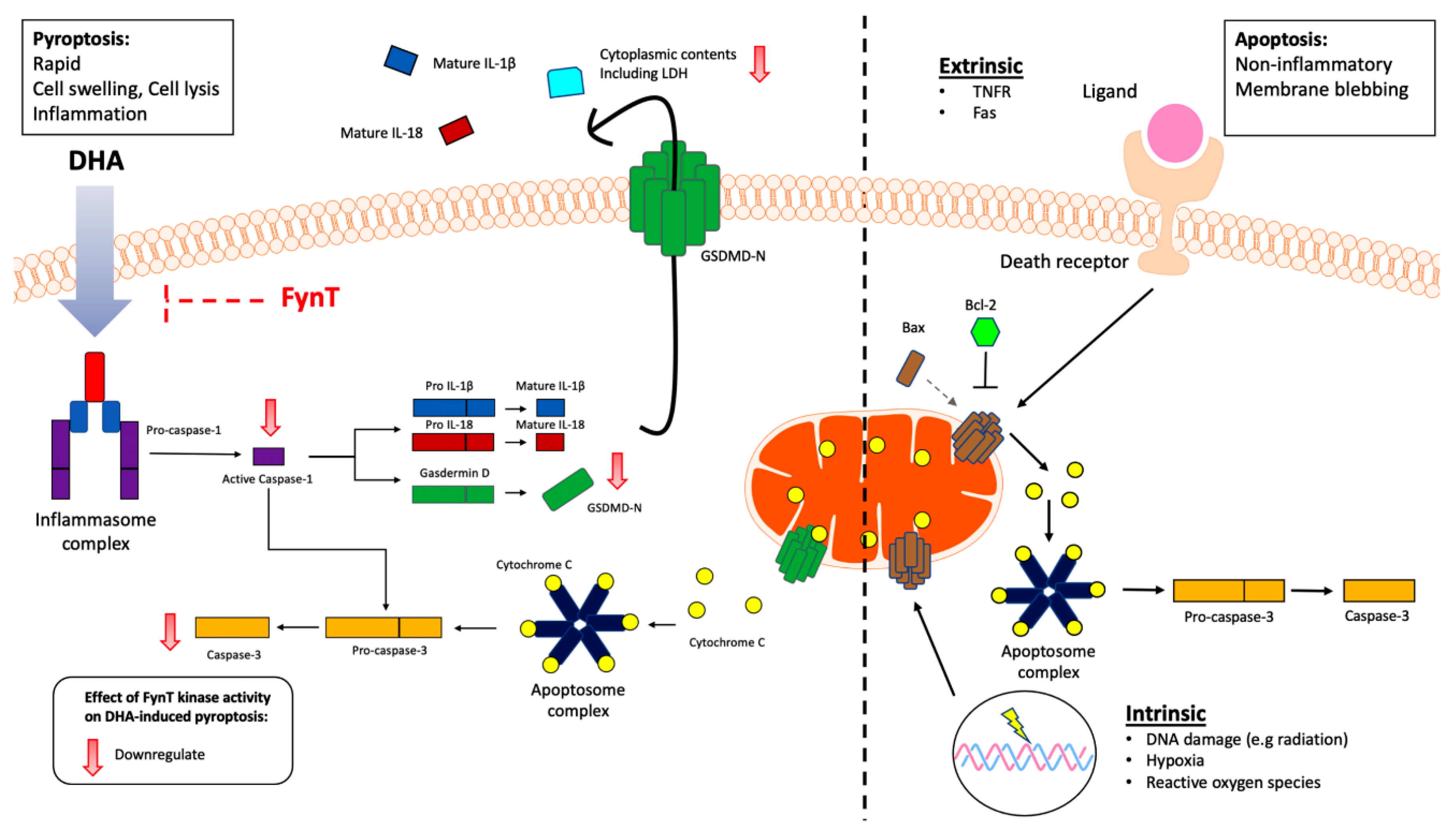 Preprints 177712 g006