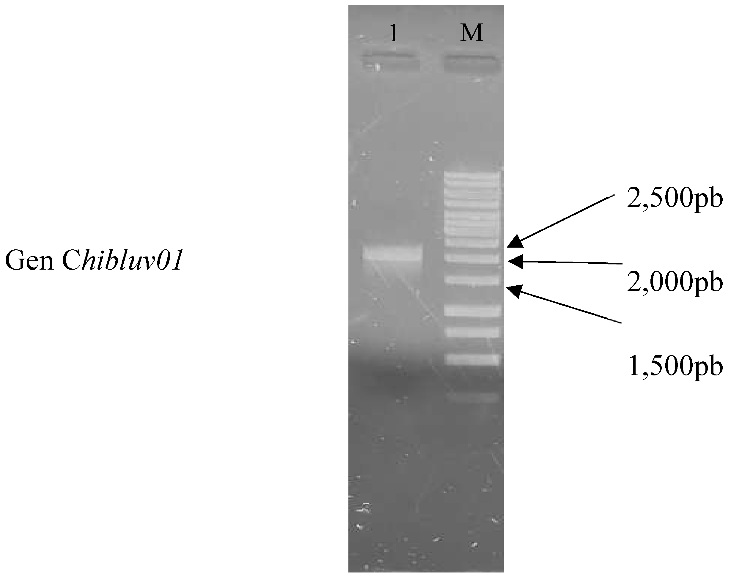 Preprints 154077 g001