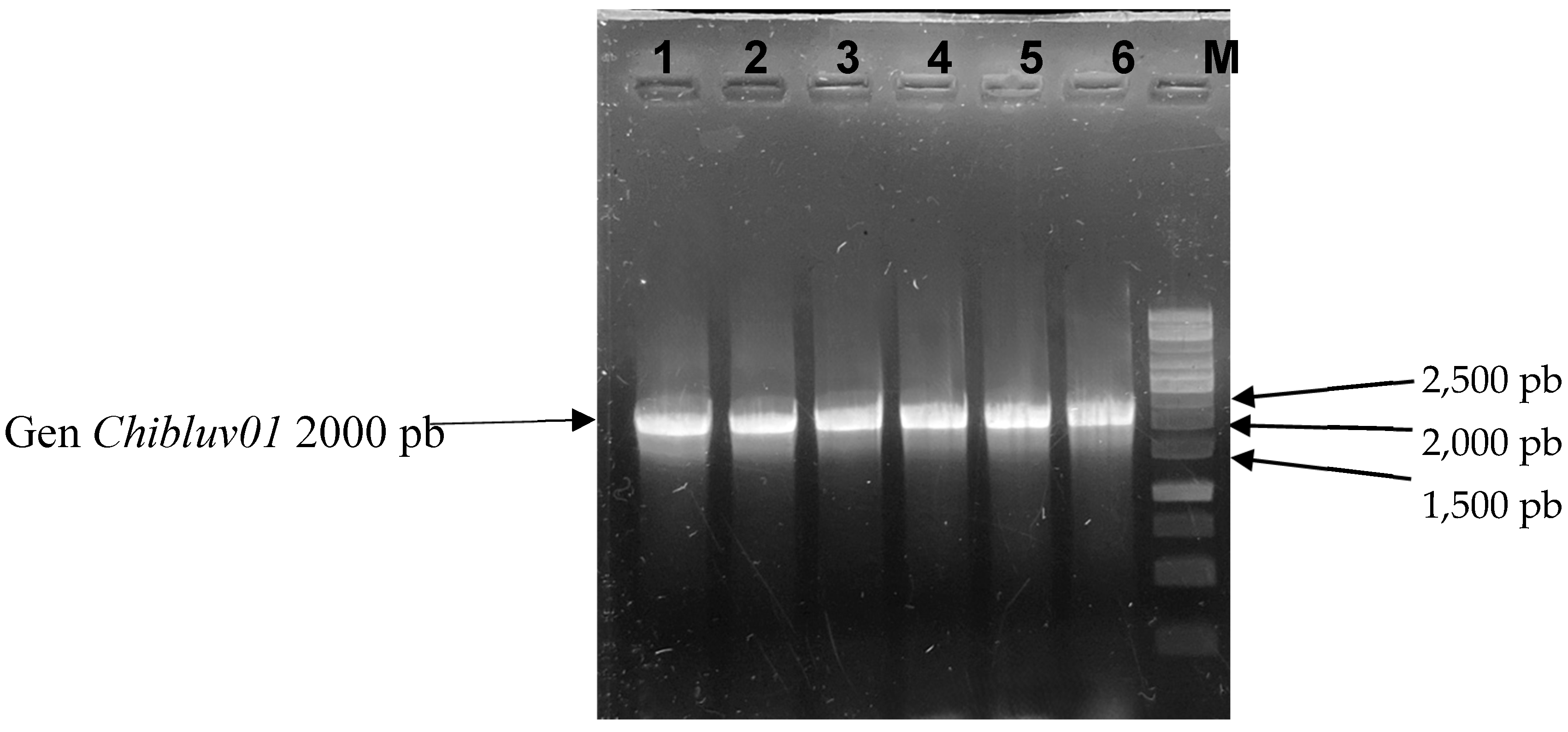 Preprints 154077 g002
