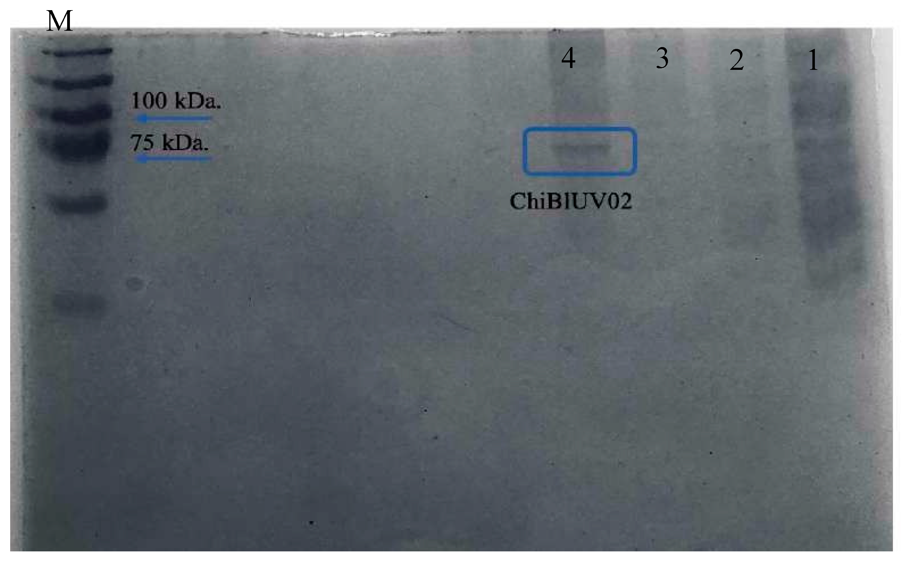 Preprints 154077 g006