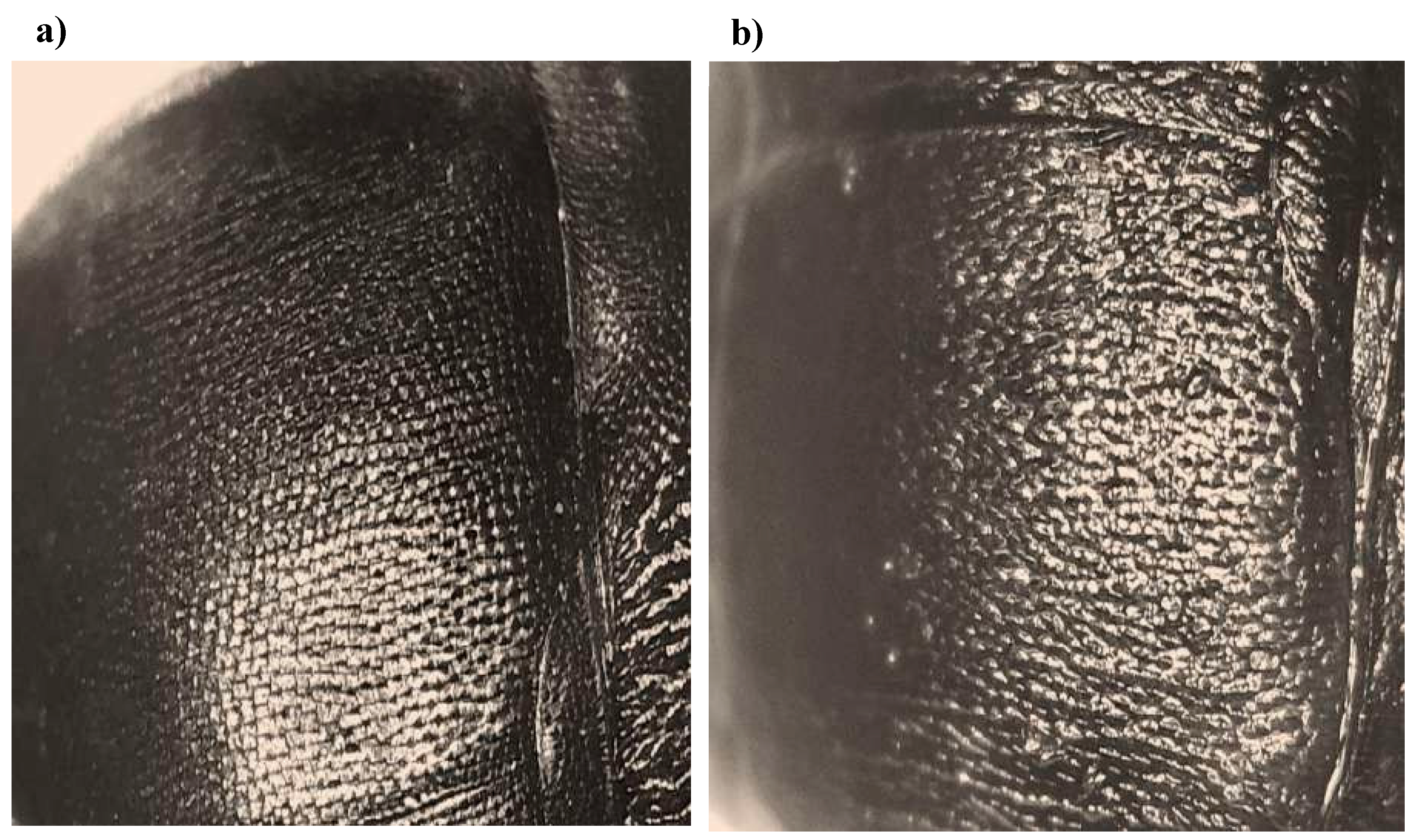 Preprints 154077 g009