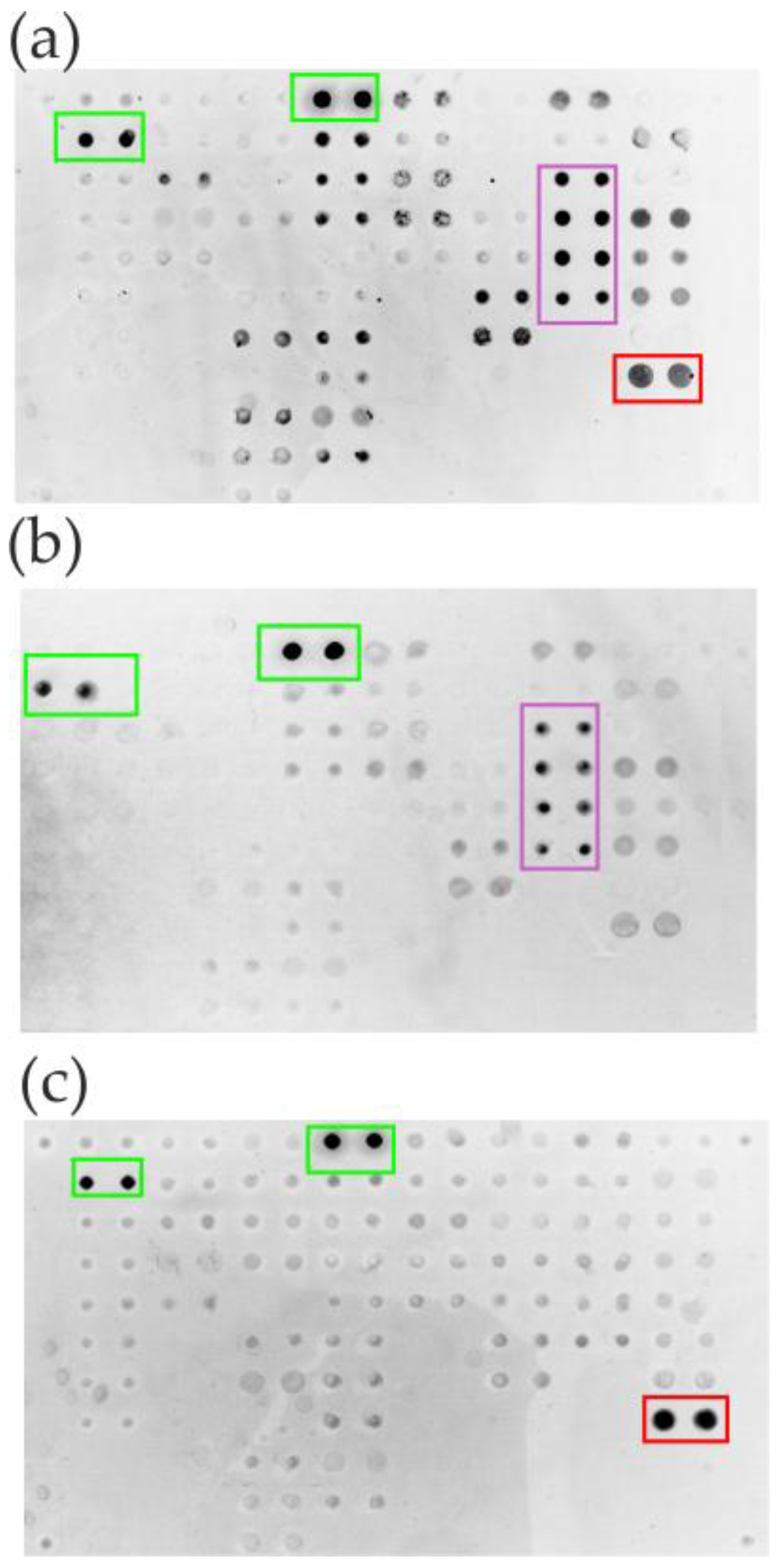 Preprints 185488 g005