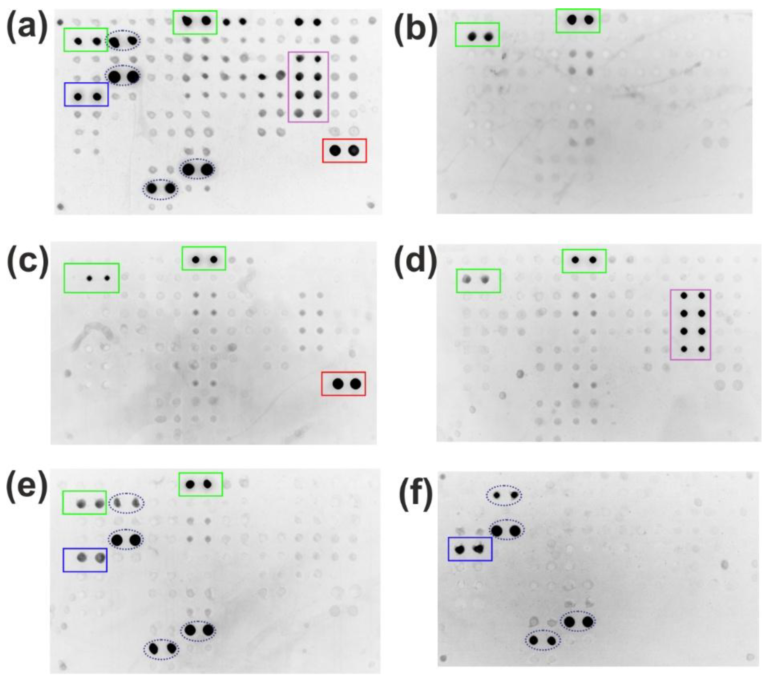 Preprints 185488 g006