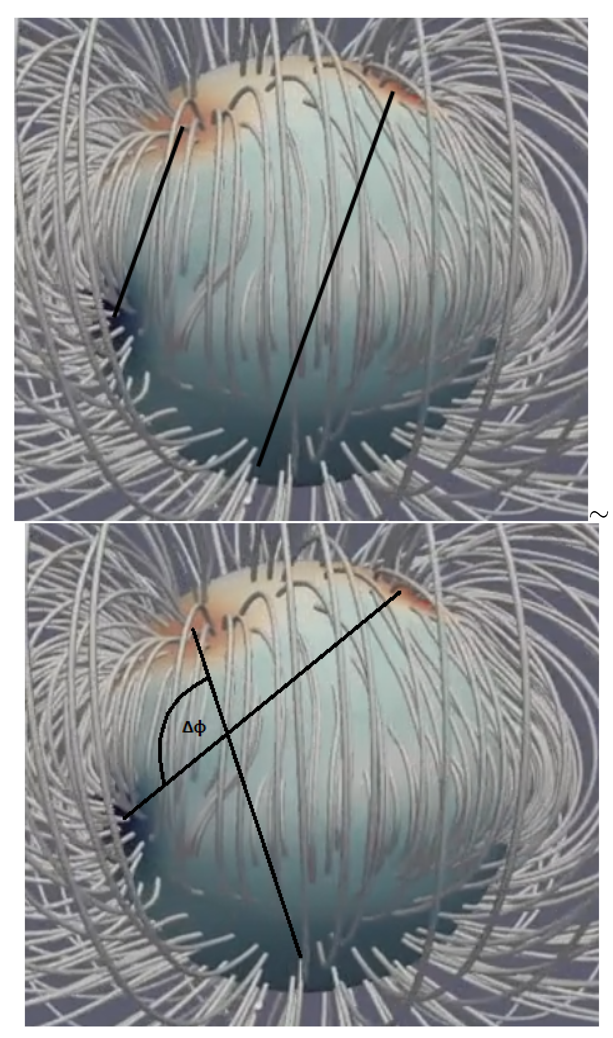 Preprints 154284 g015