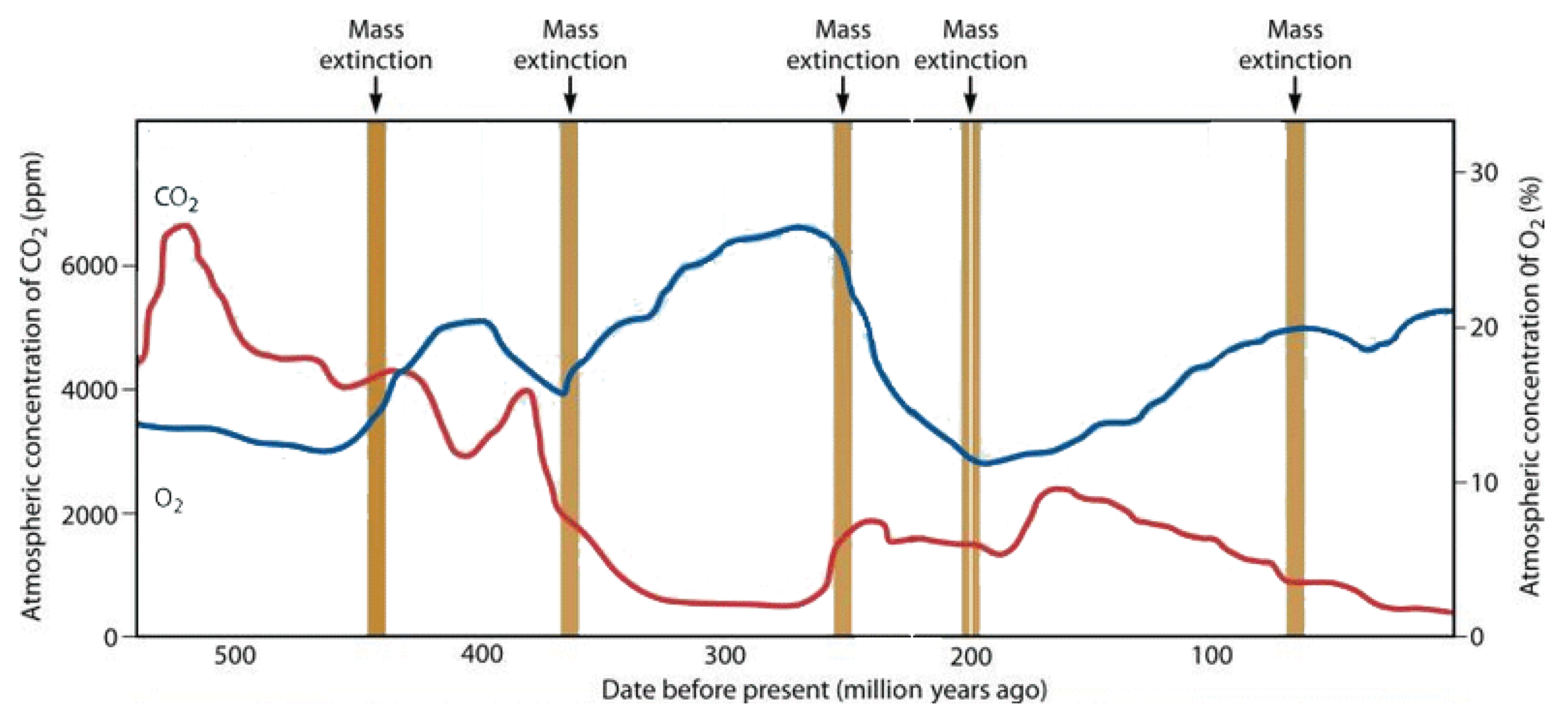 Preprints 154284 g019