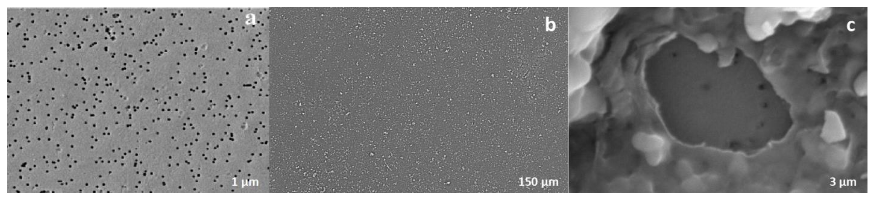 Preprints 164526 g004