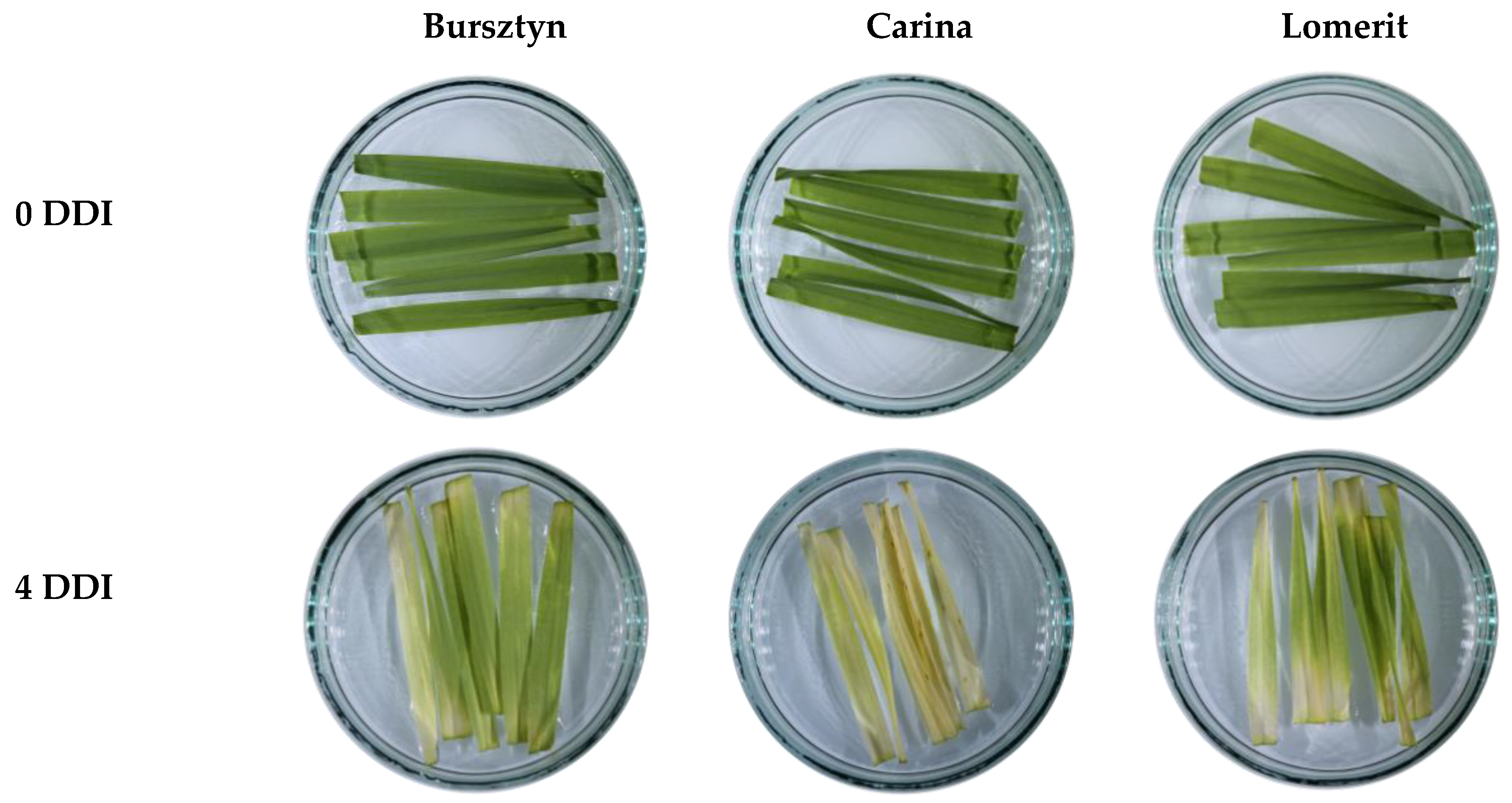 Preprints 174423 g001