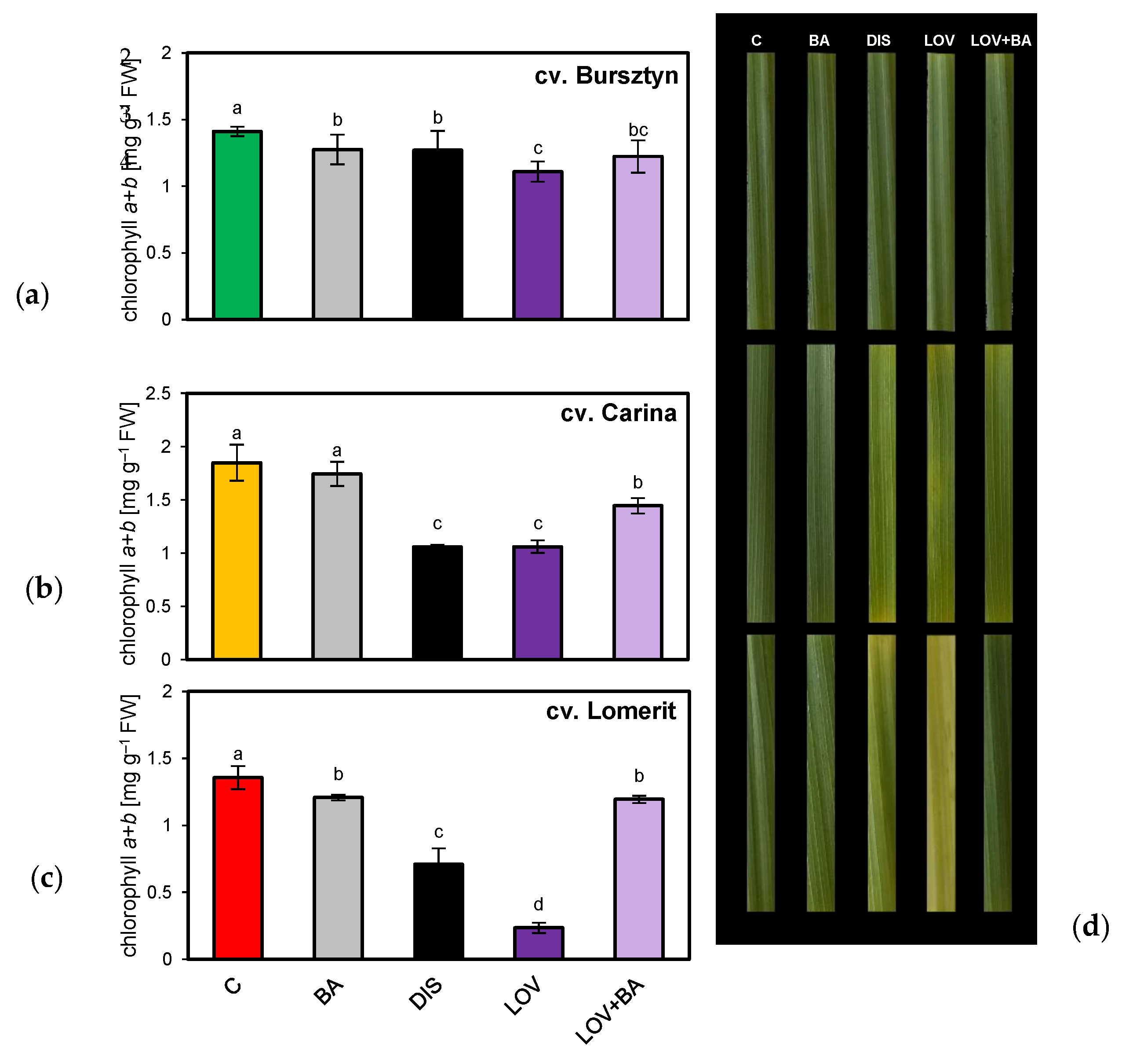 Preprints 174423 g012