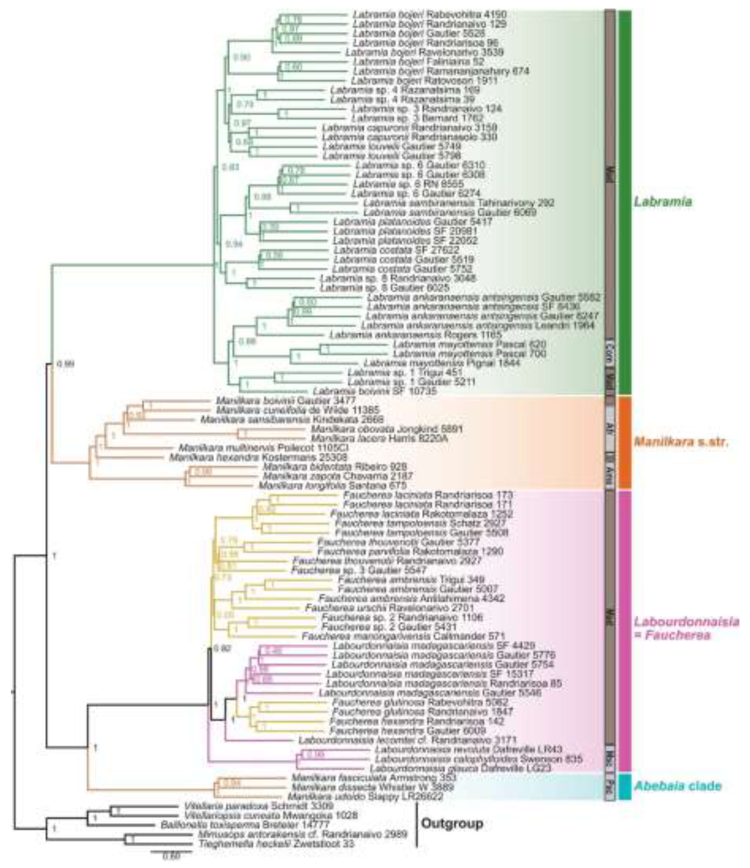 Preprints 200977 g005