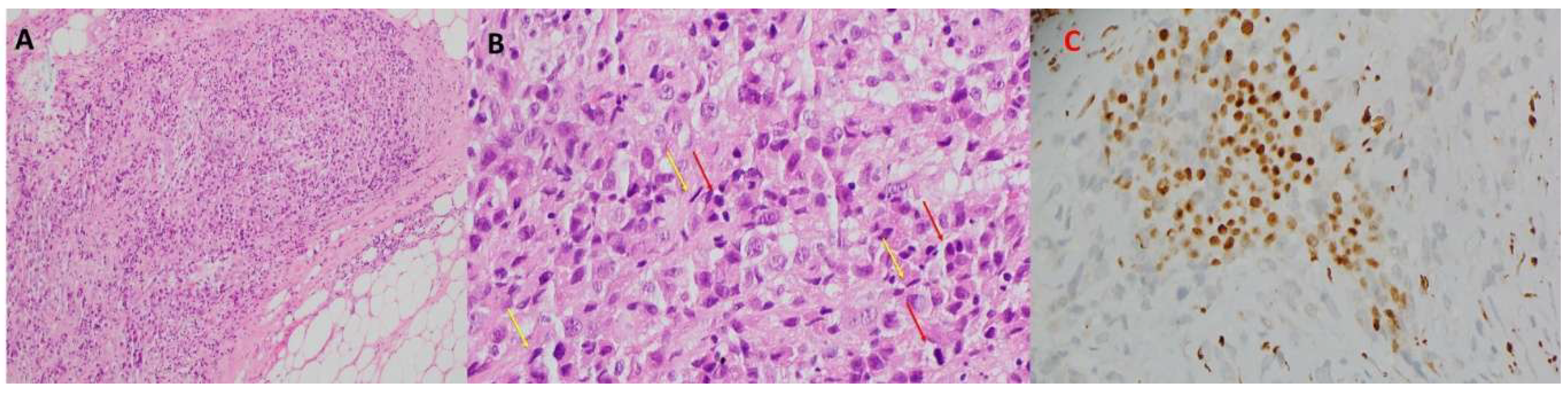 Preprints 169468 g002