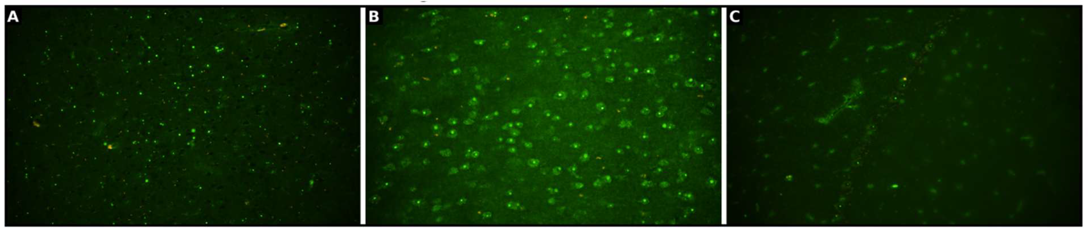 Preprints 169468 g003