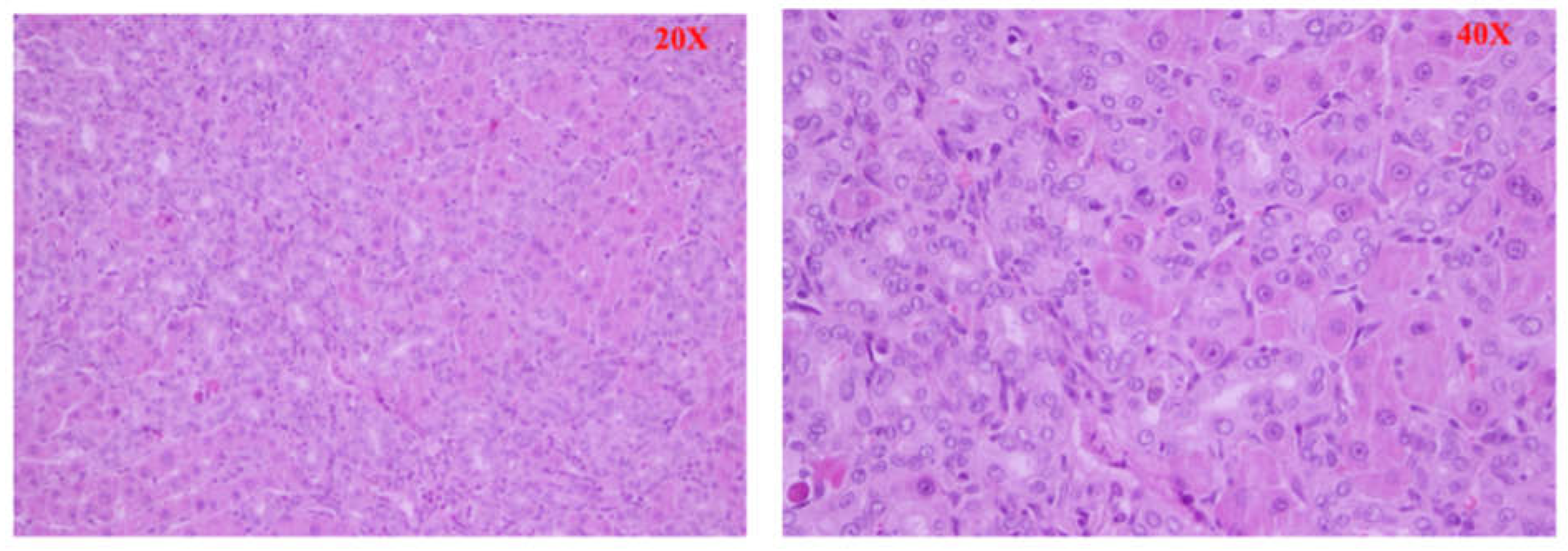 Preprints 68749 g005