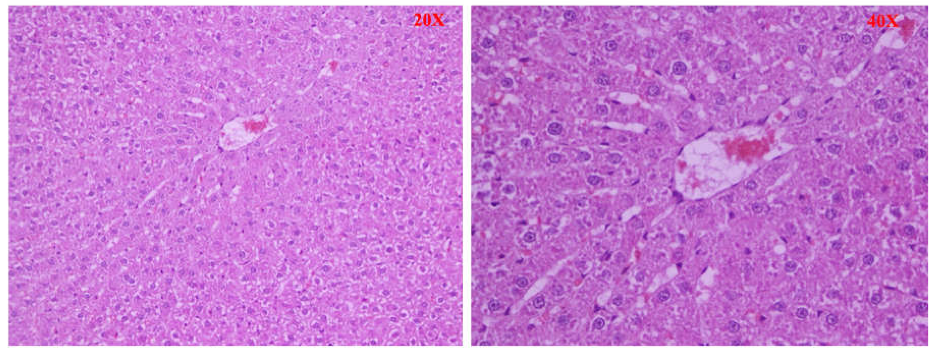 Preprints 68749 g007