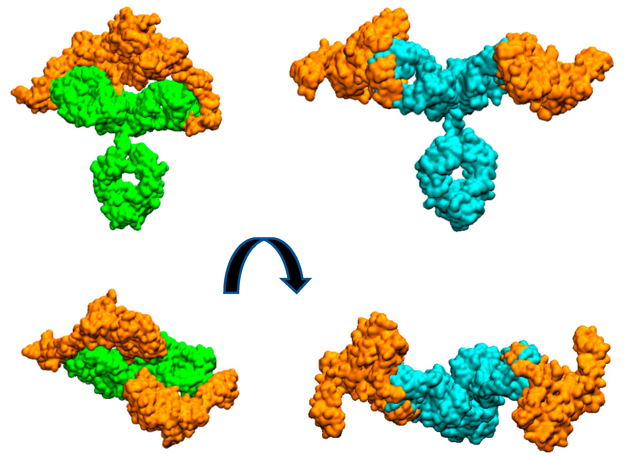 Preprints 76116 g003