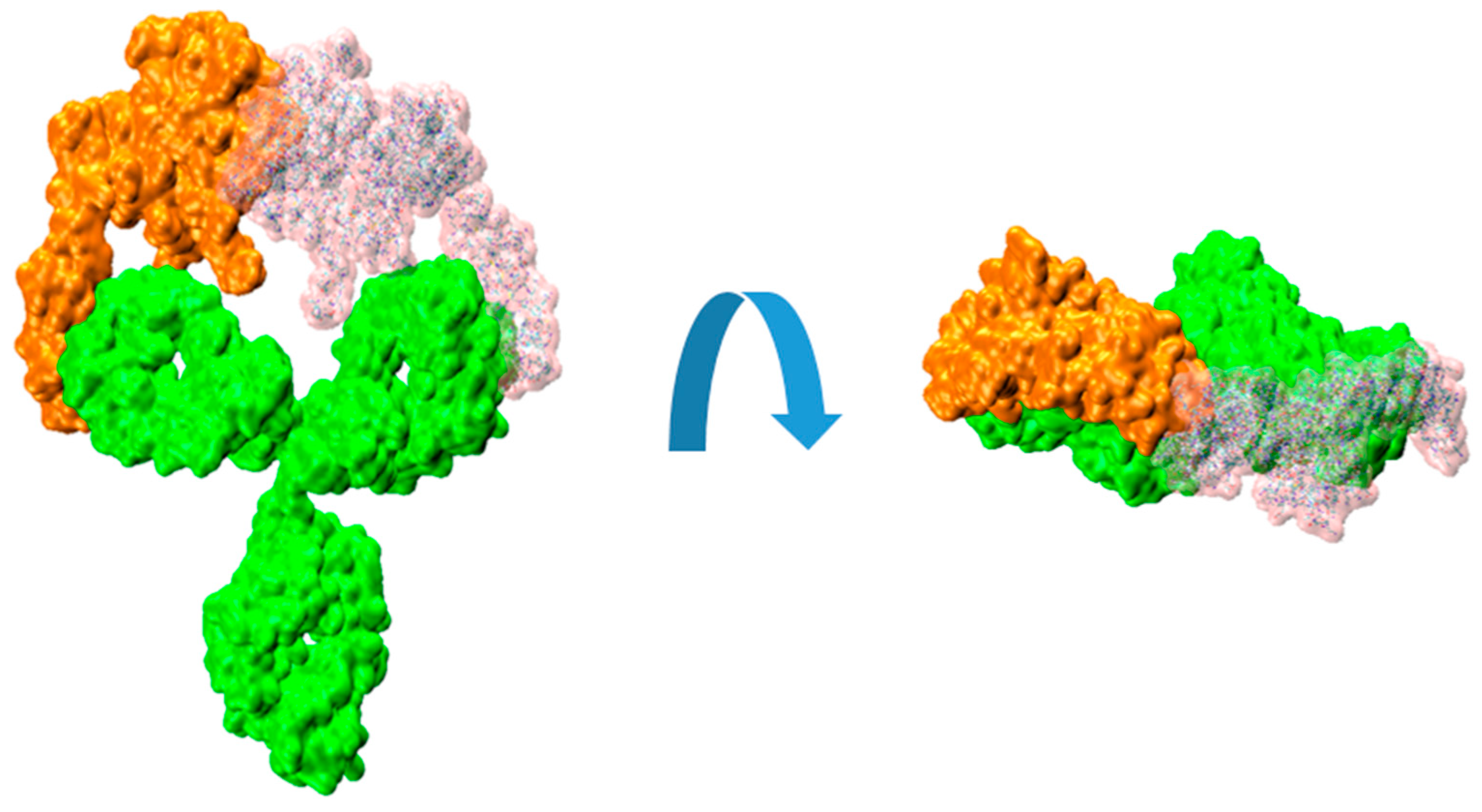 Preprints 76116 g004