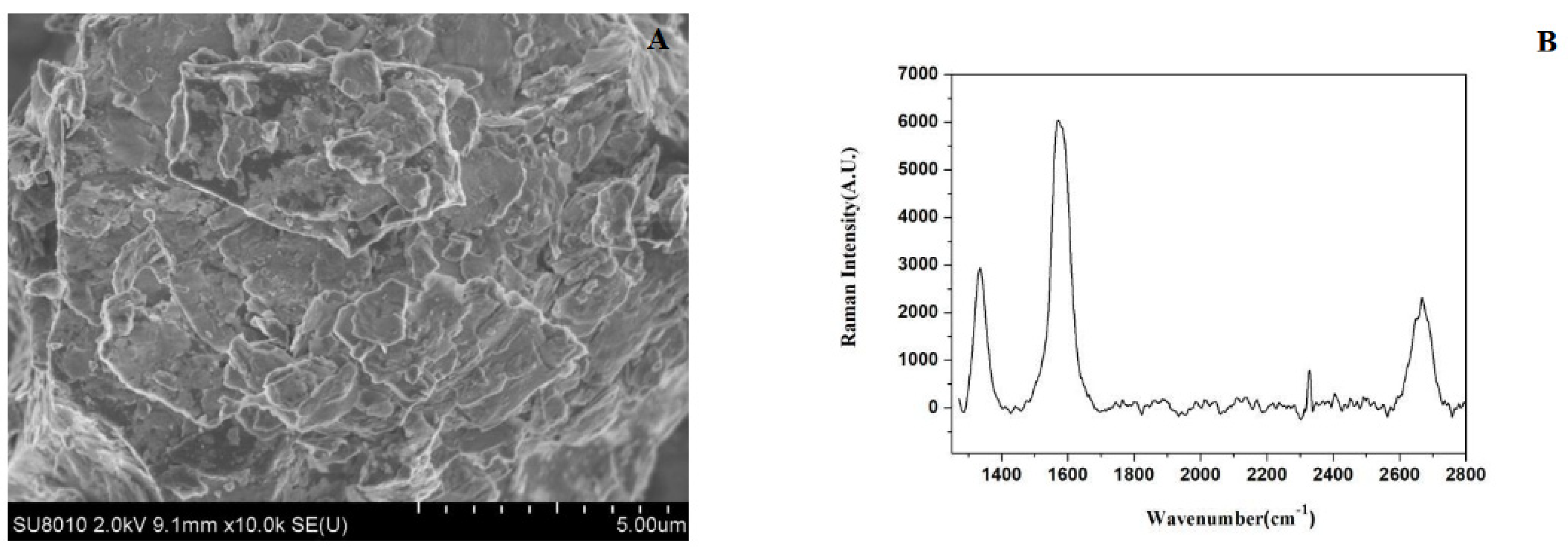 Preprints 207415 g001 Preprints 207415 g001