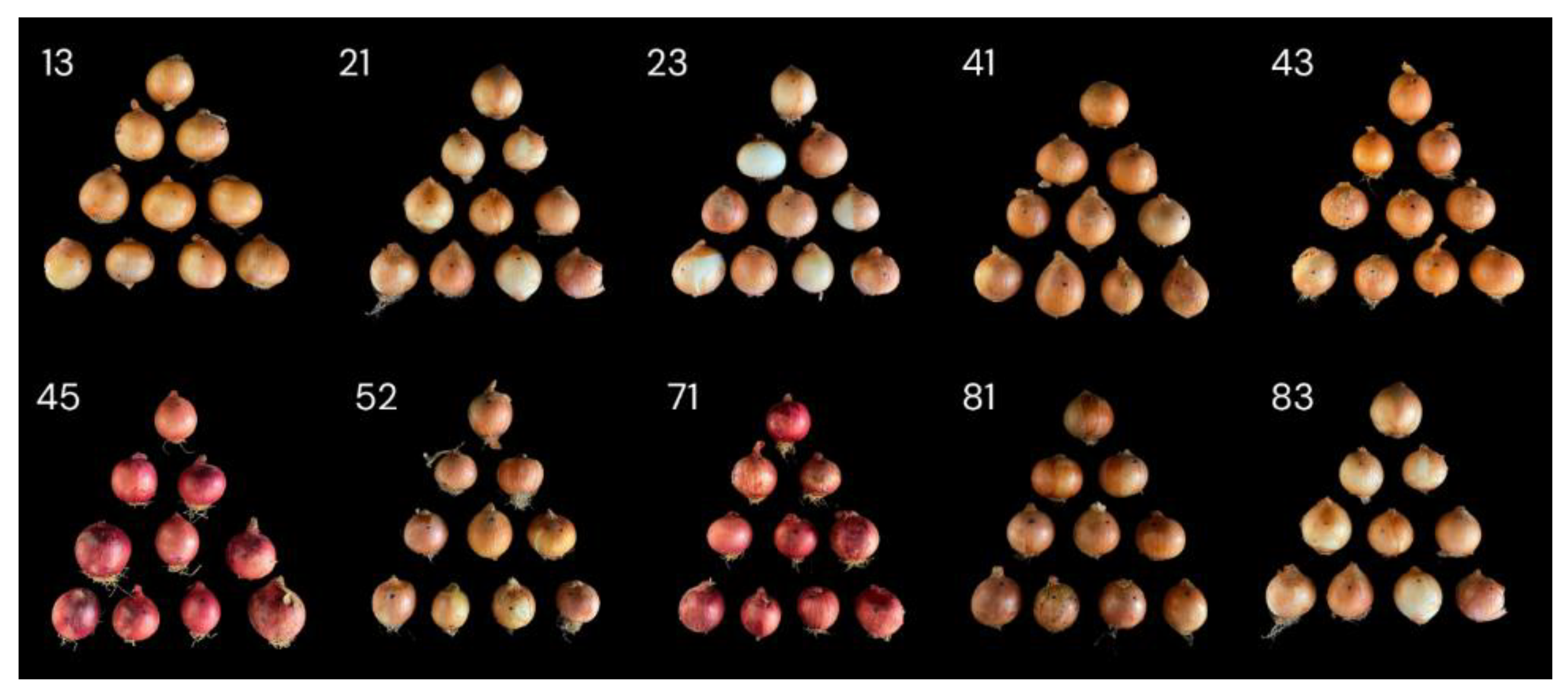 Preprints 156307 g001