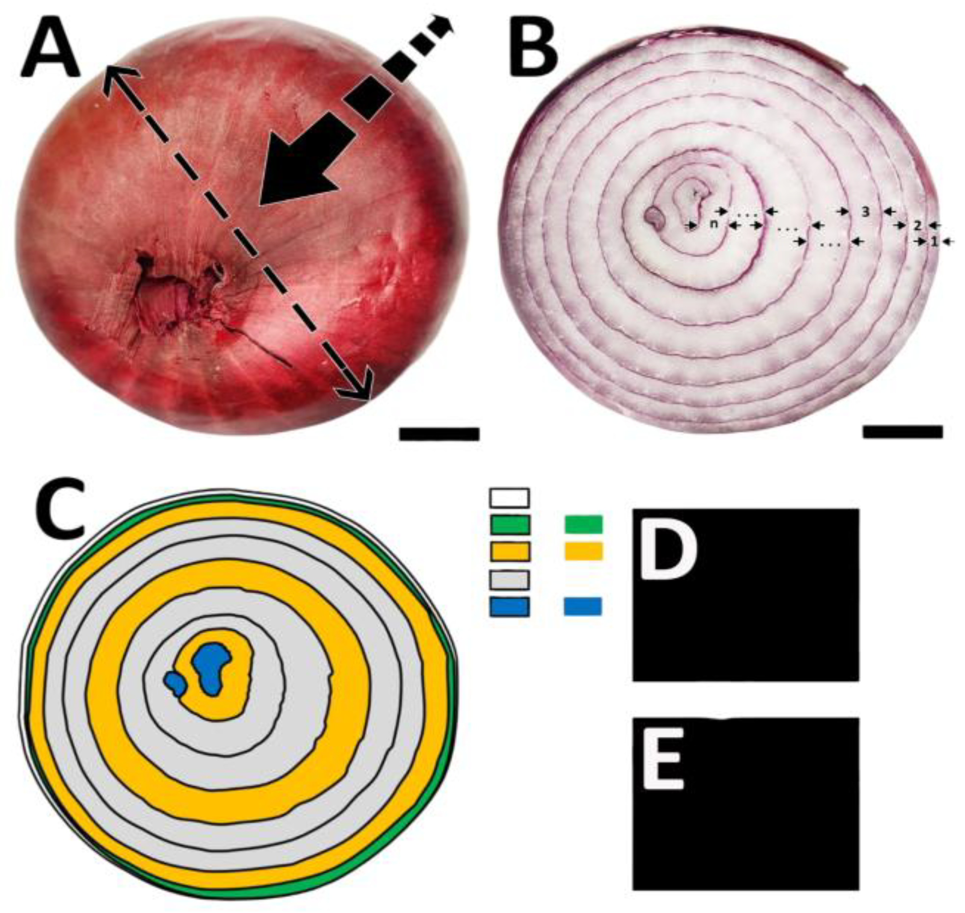 Preprints 156307 g002