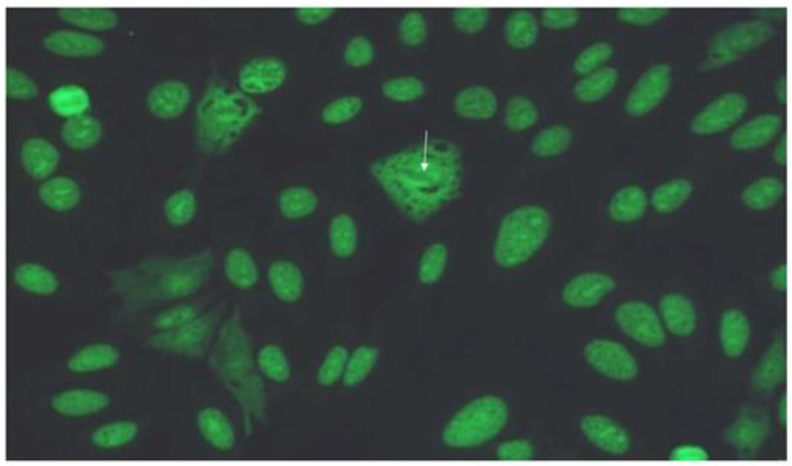 Preprints 141373 g002