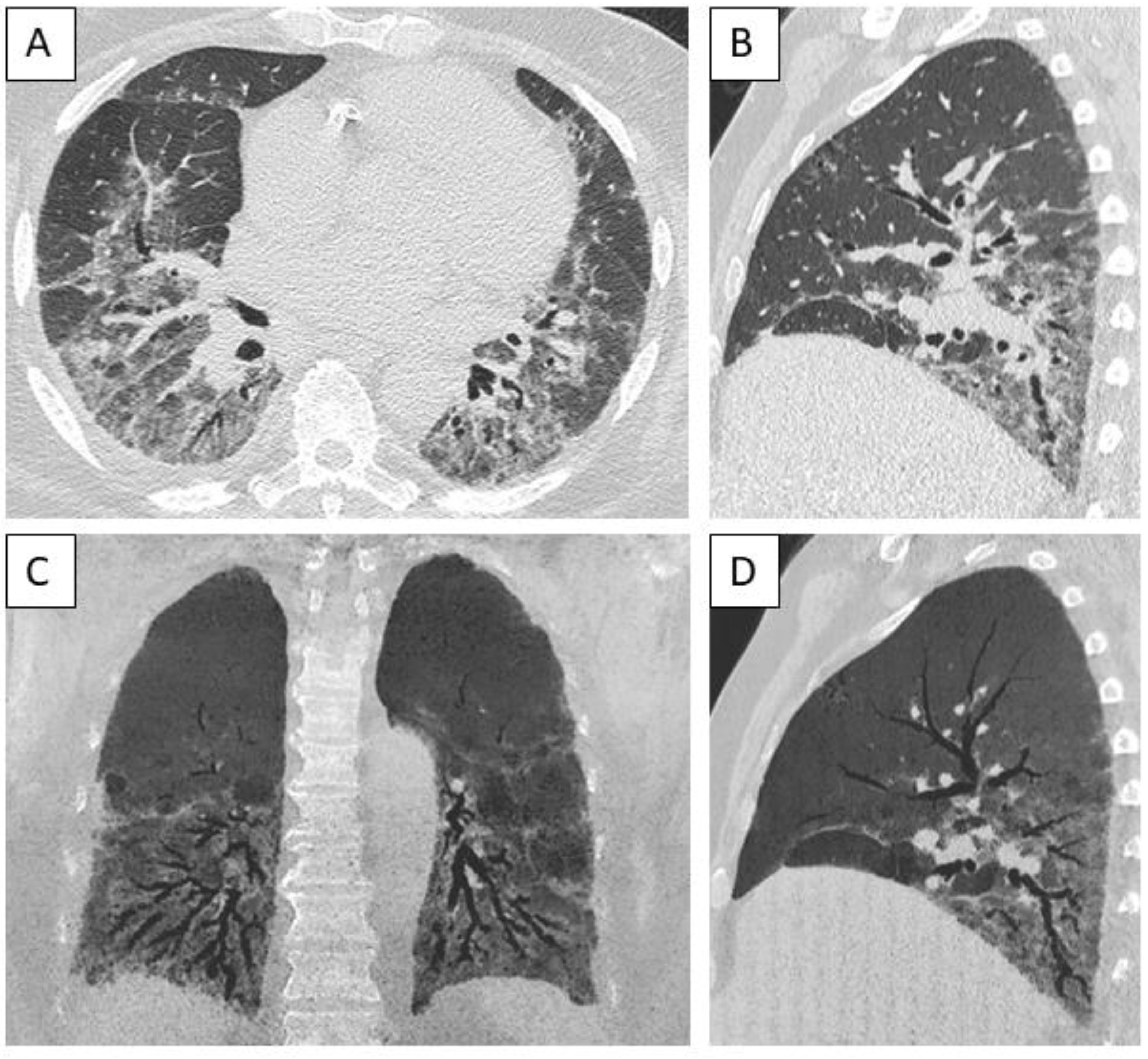 Preprints 141373 g003