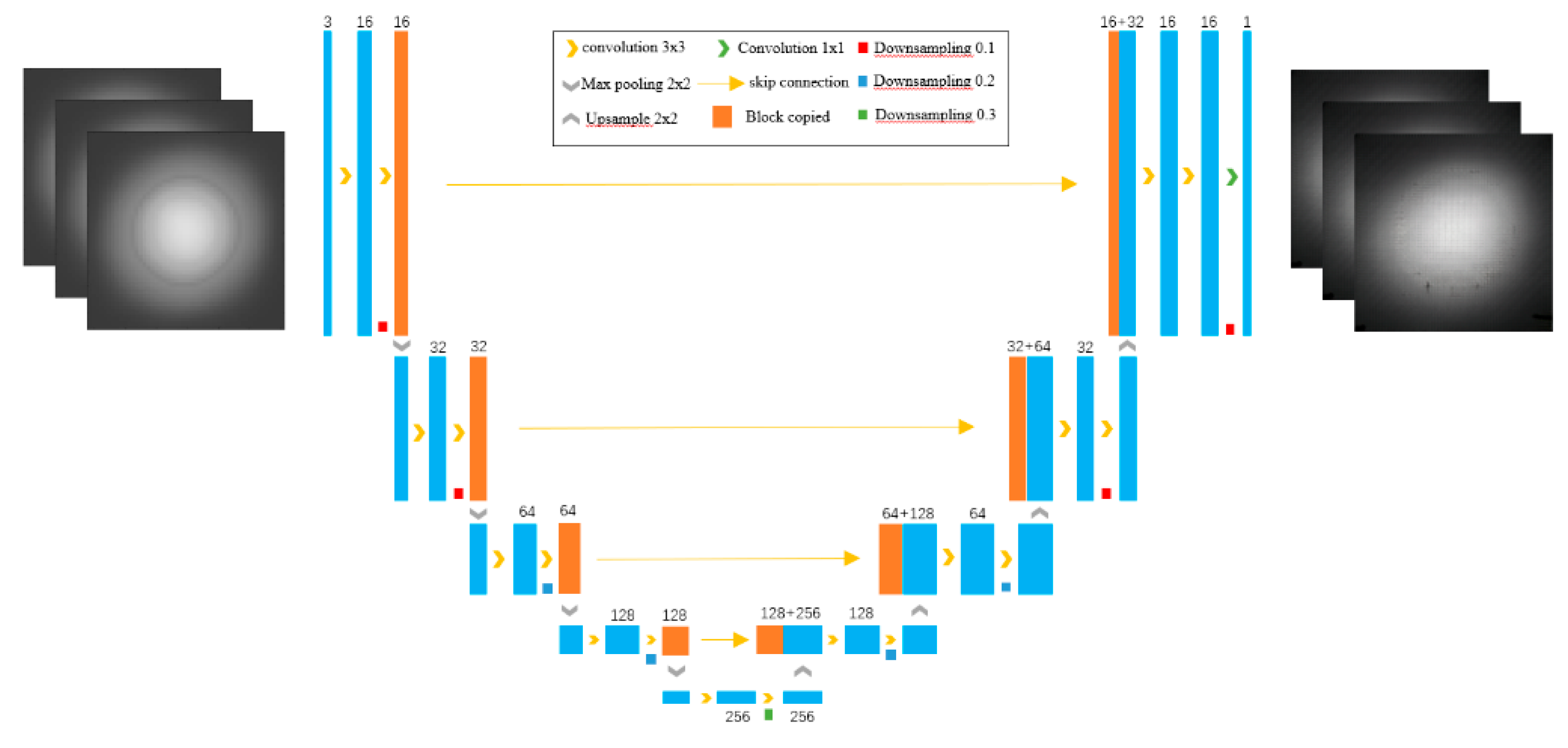 Preprints 151099 g007