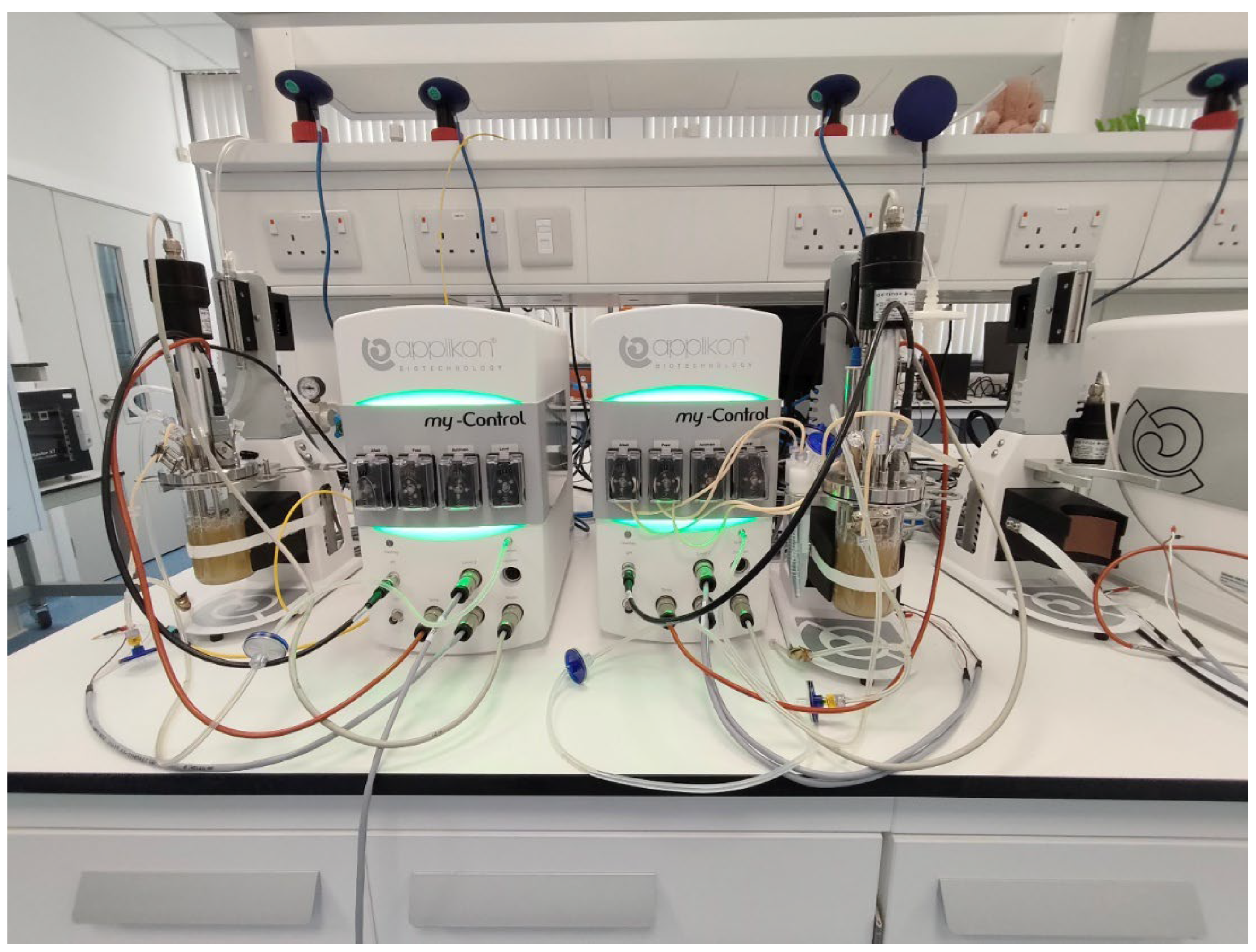 Preprints 193206 g009