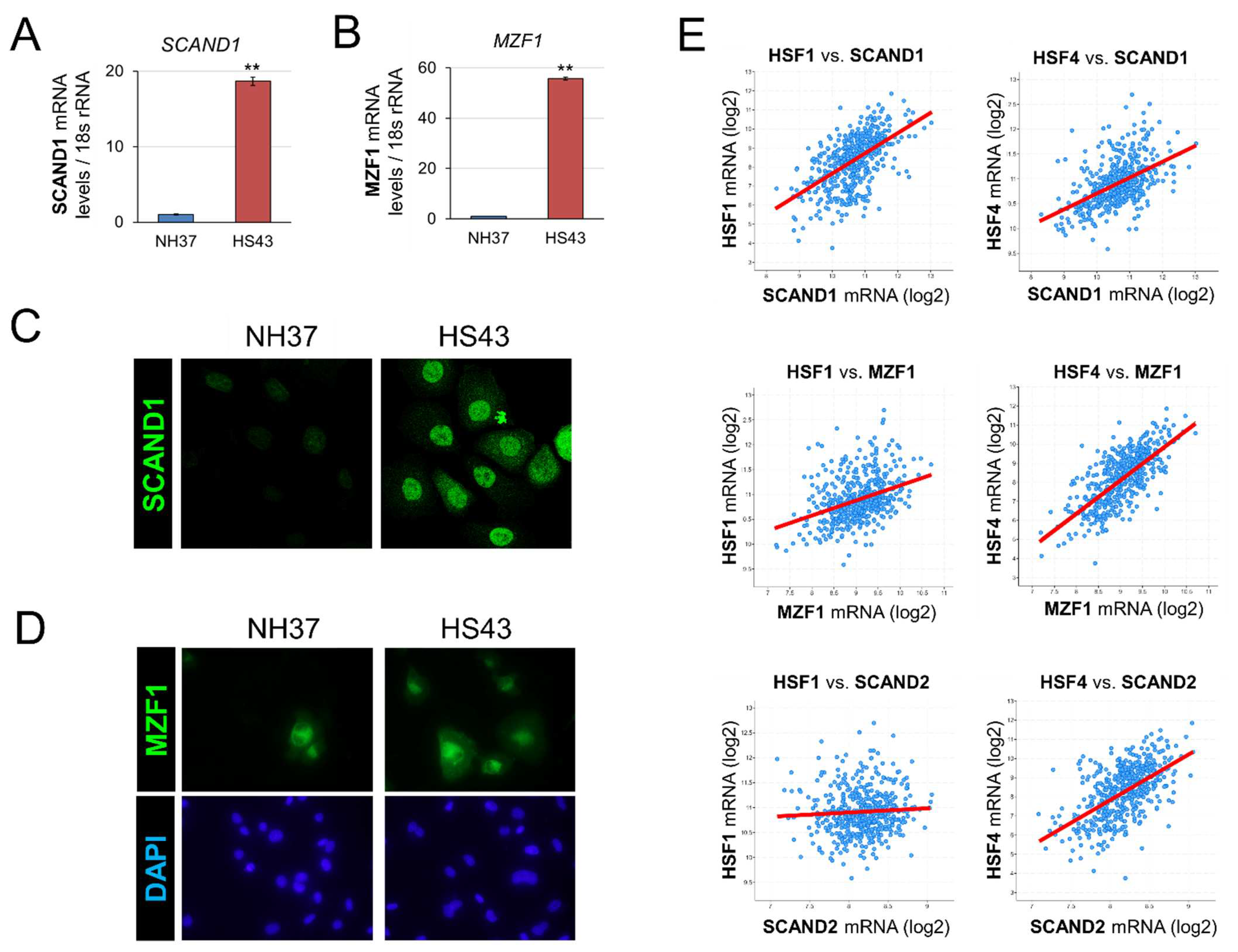 Preprints 67805 g001
