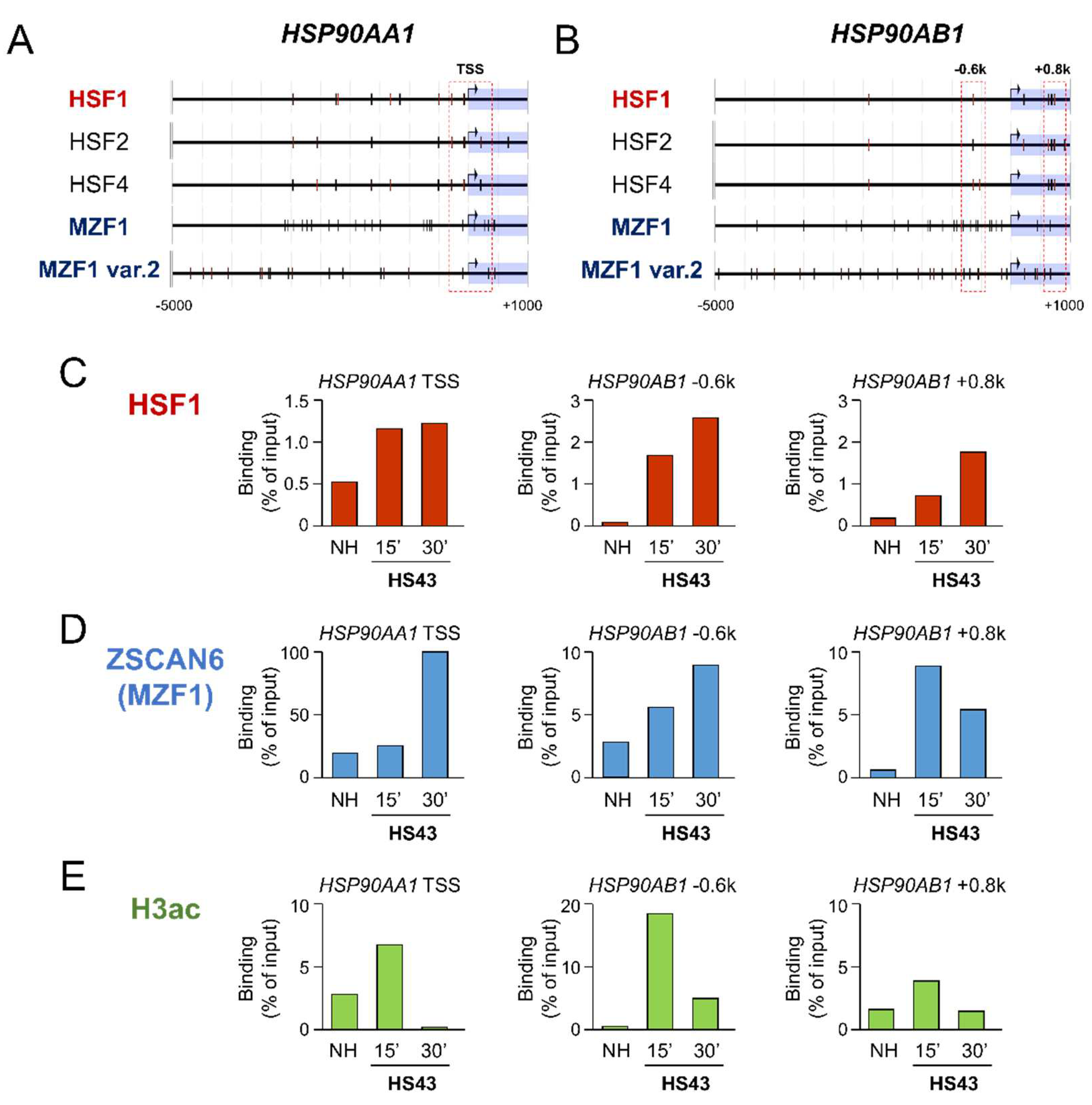 Preprints 67805 g003