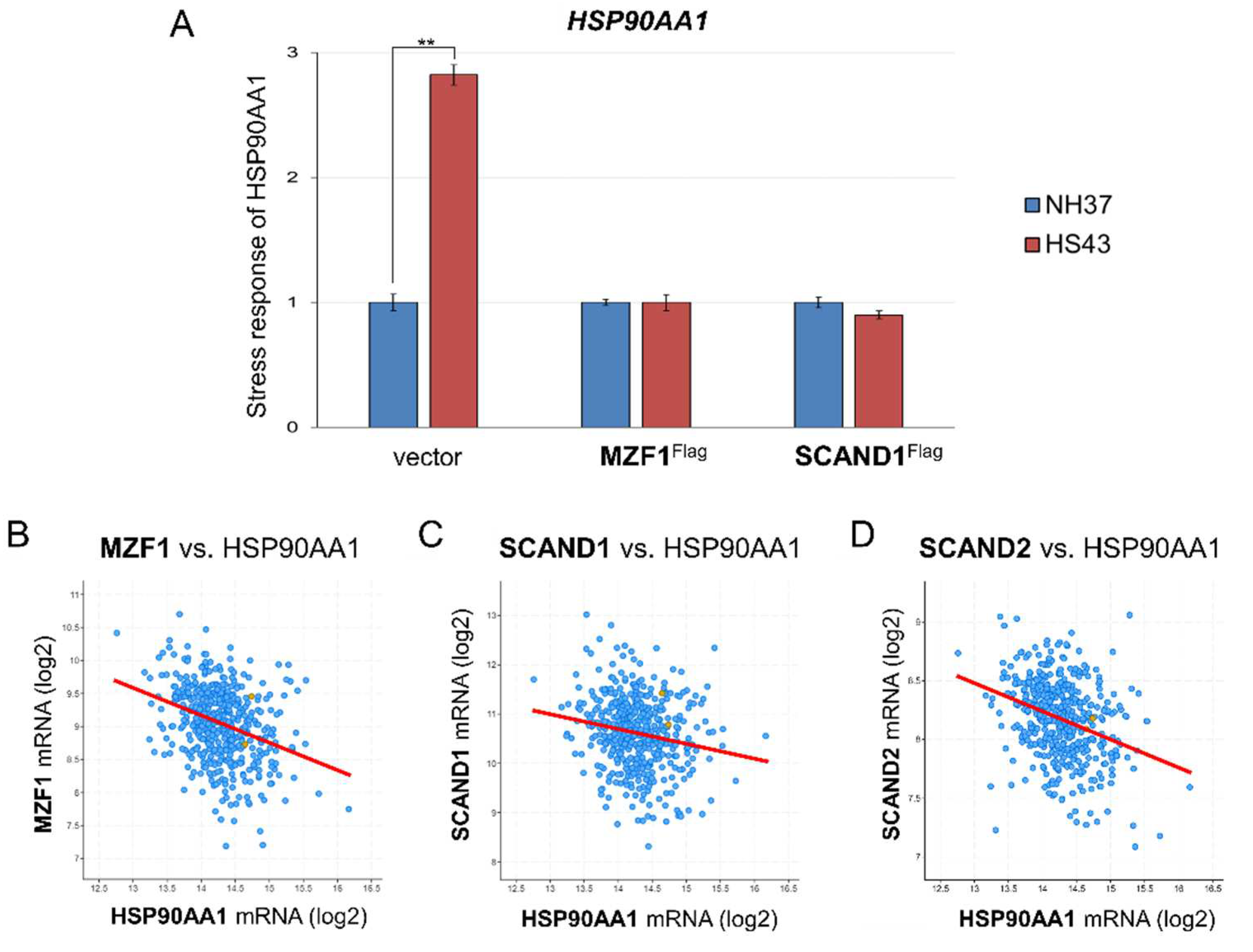 Preprints 67805 g004