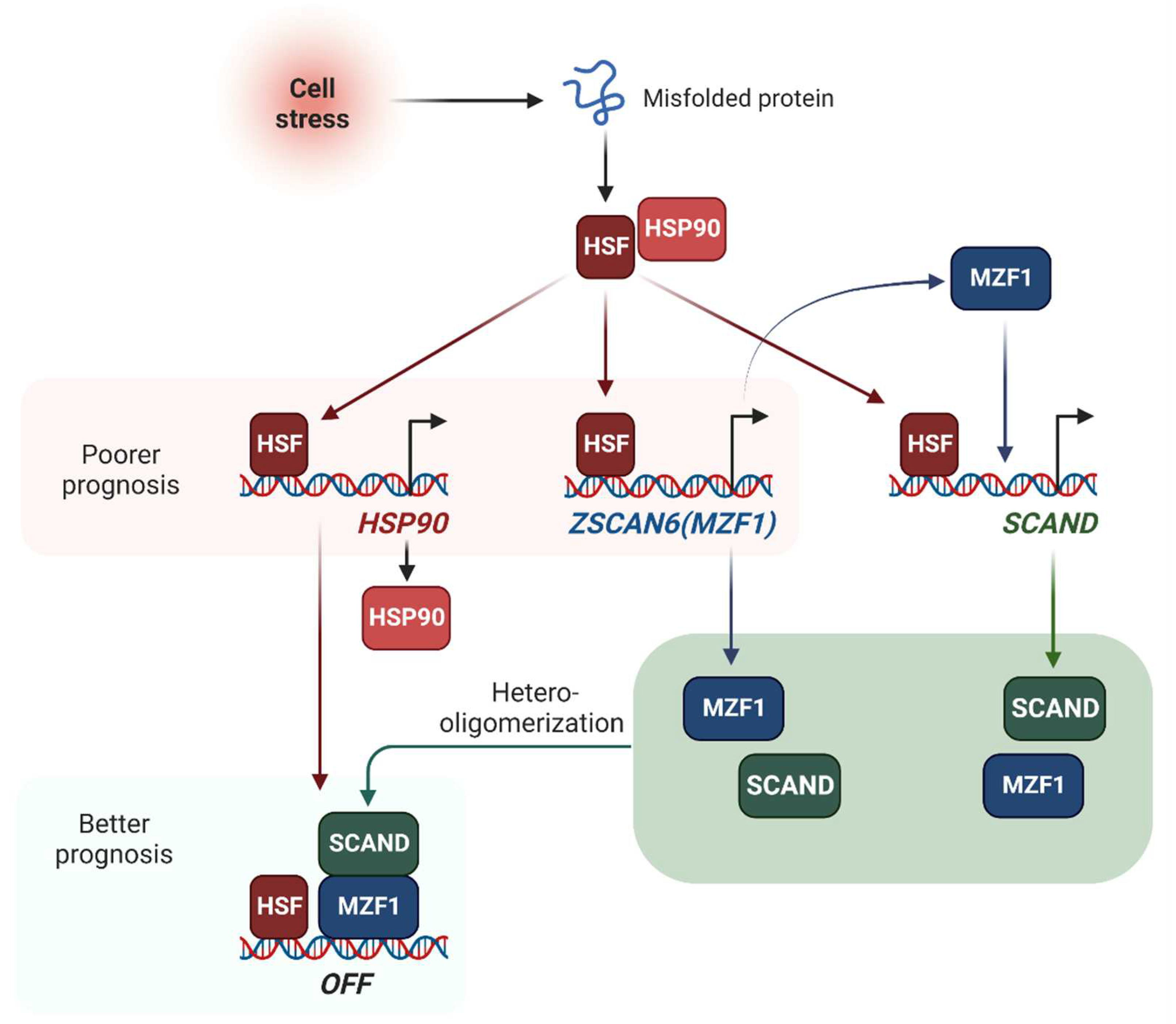 Preprints 67805 g008