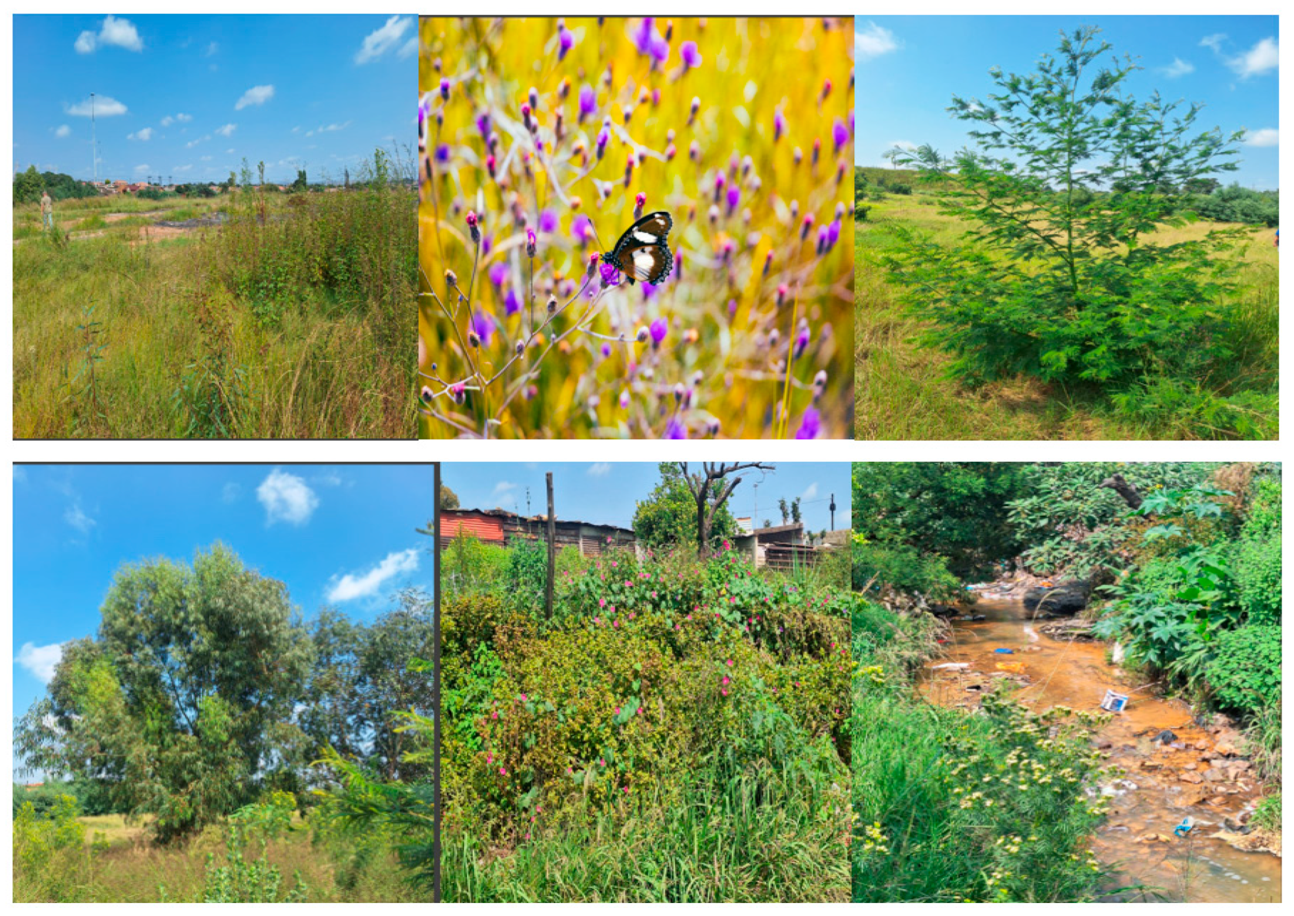 Preprints 171421 g005