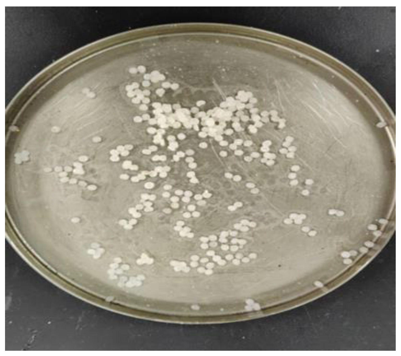 Preprints 169998 g001