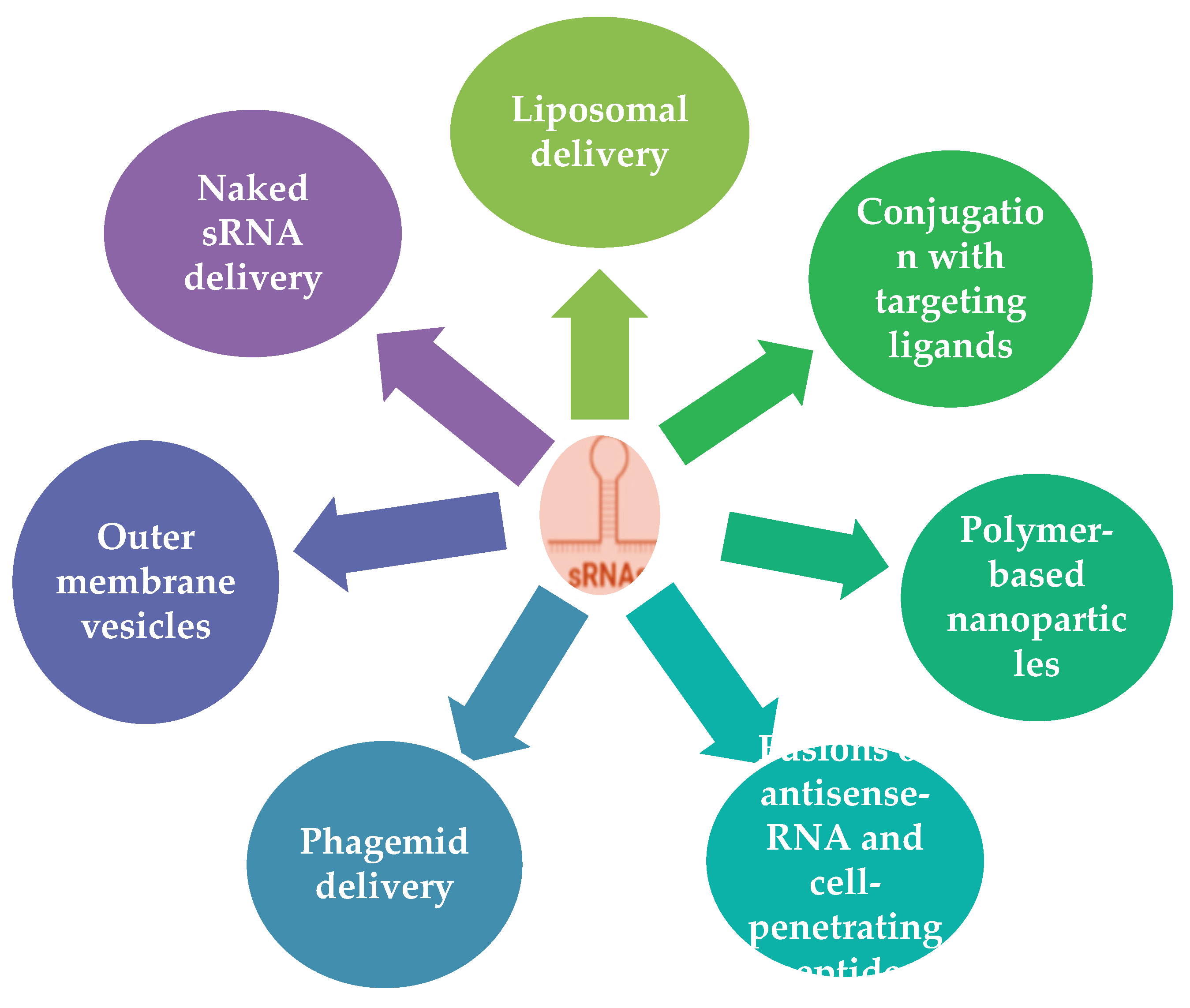 Preprints 158996 g001