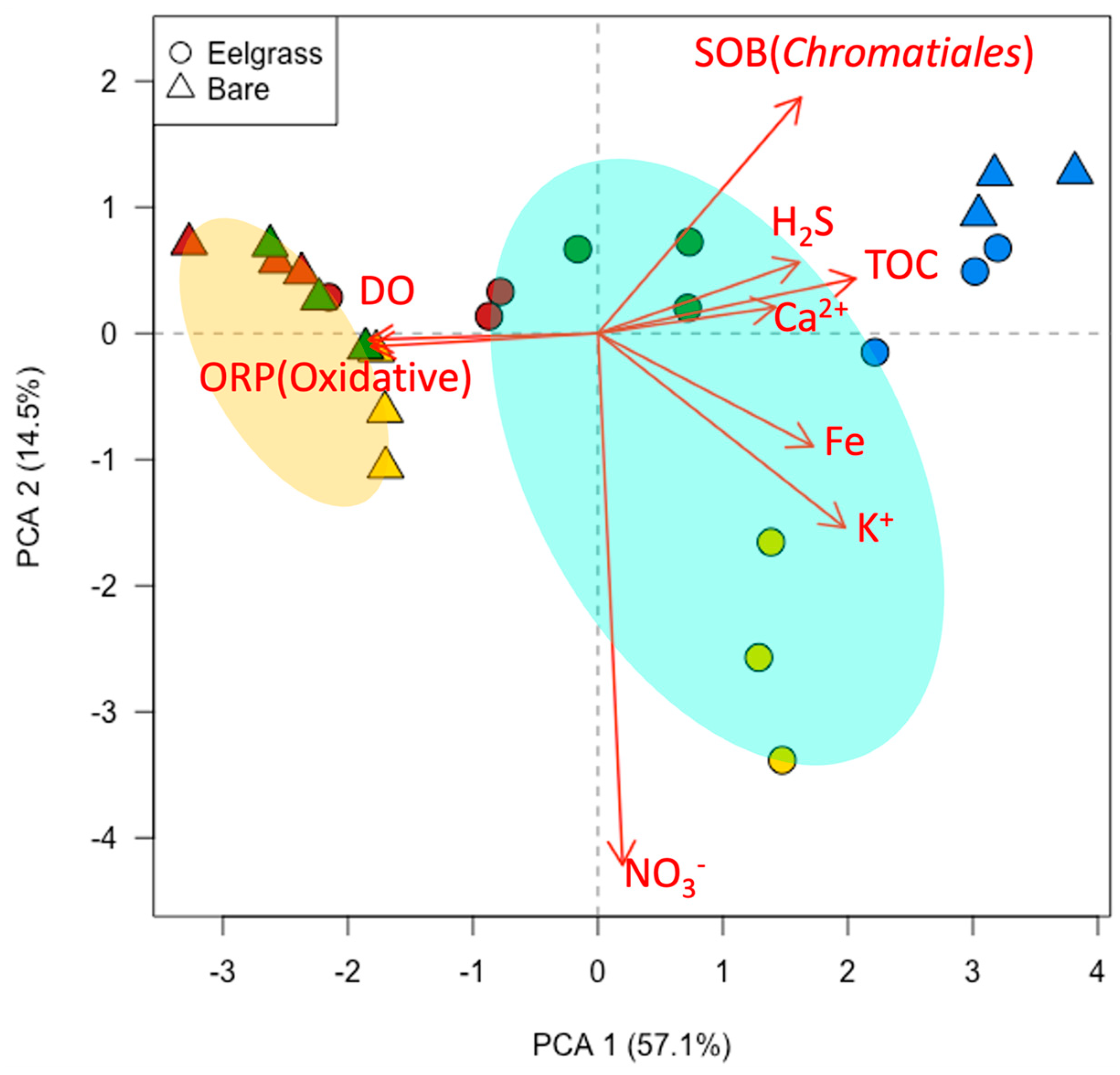 Preprints 103872 g004