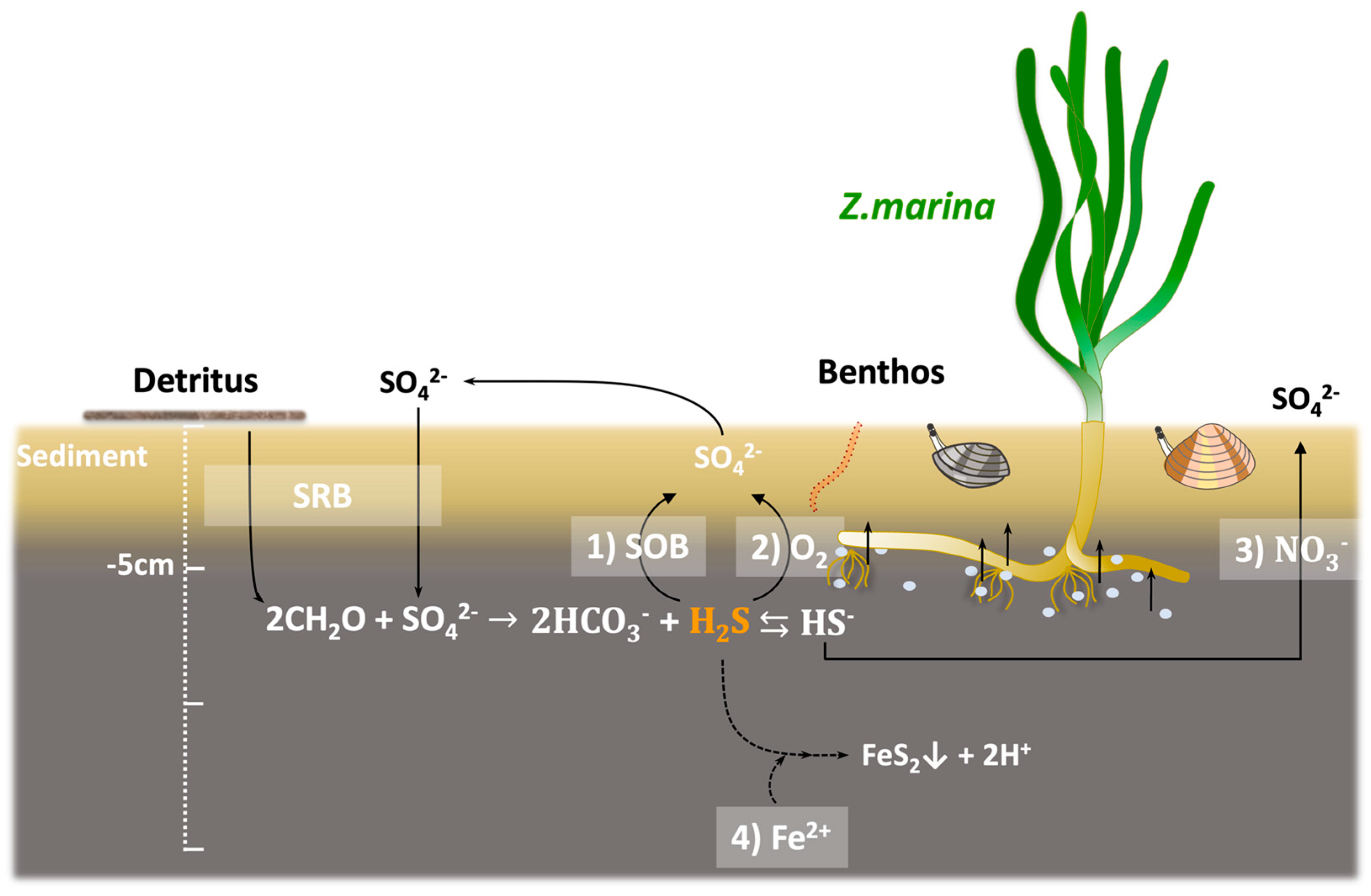 Preprints 103872 g005
