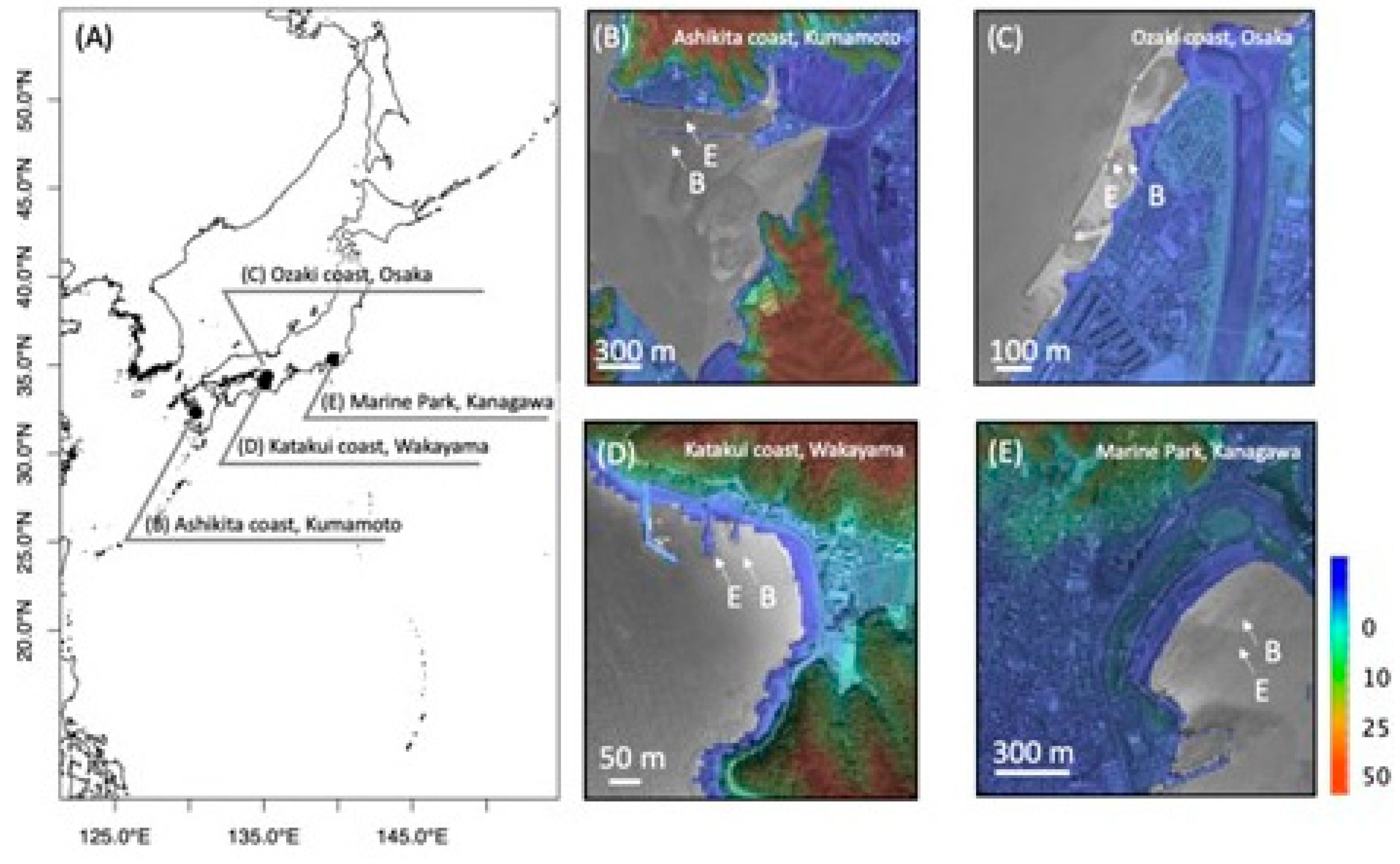Preprints 103872 g006