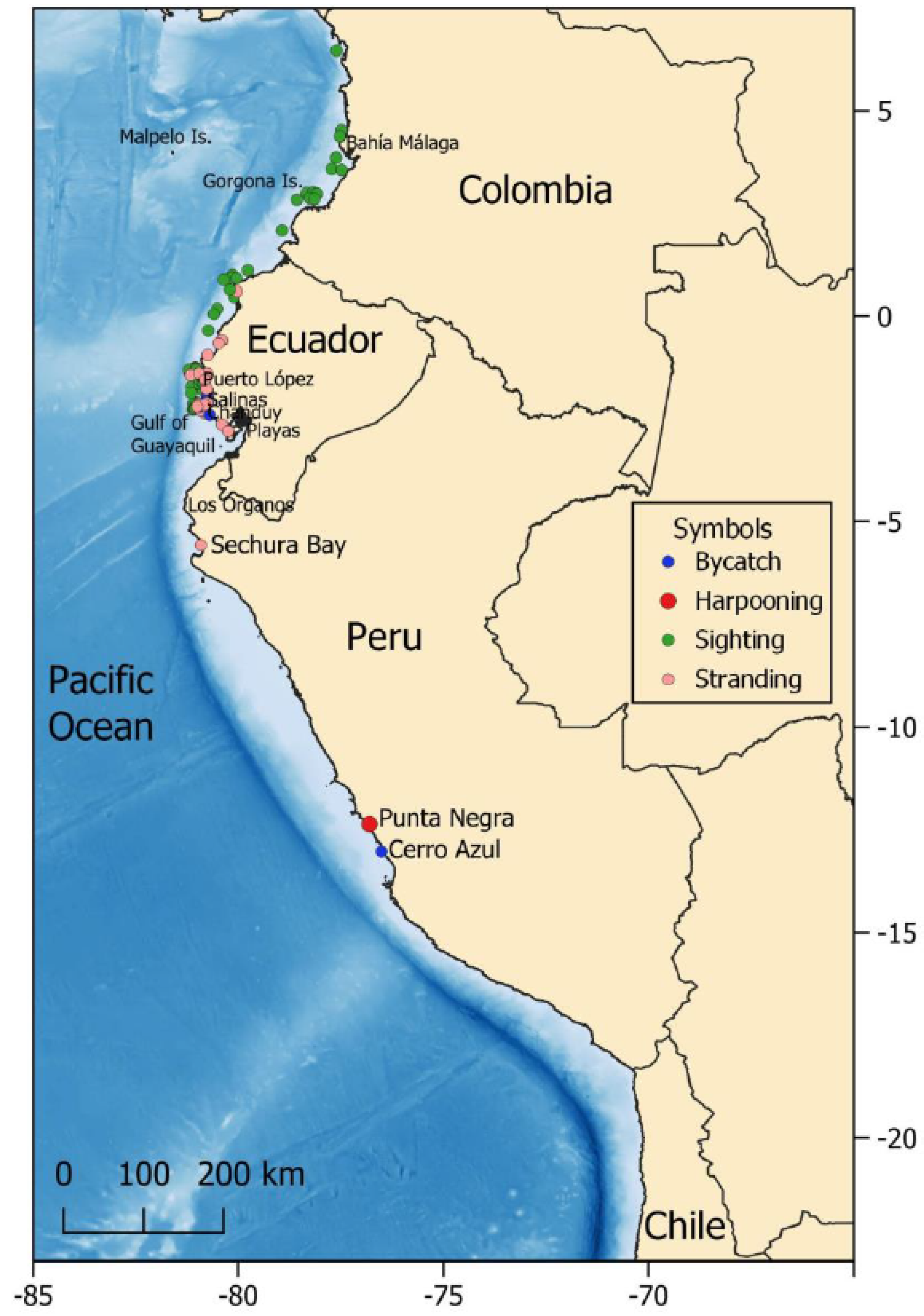 Preprints 197583 g002