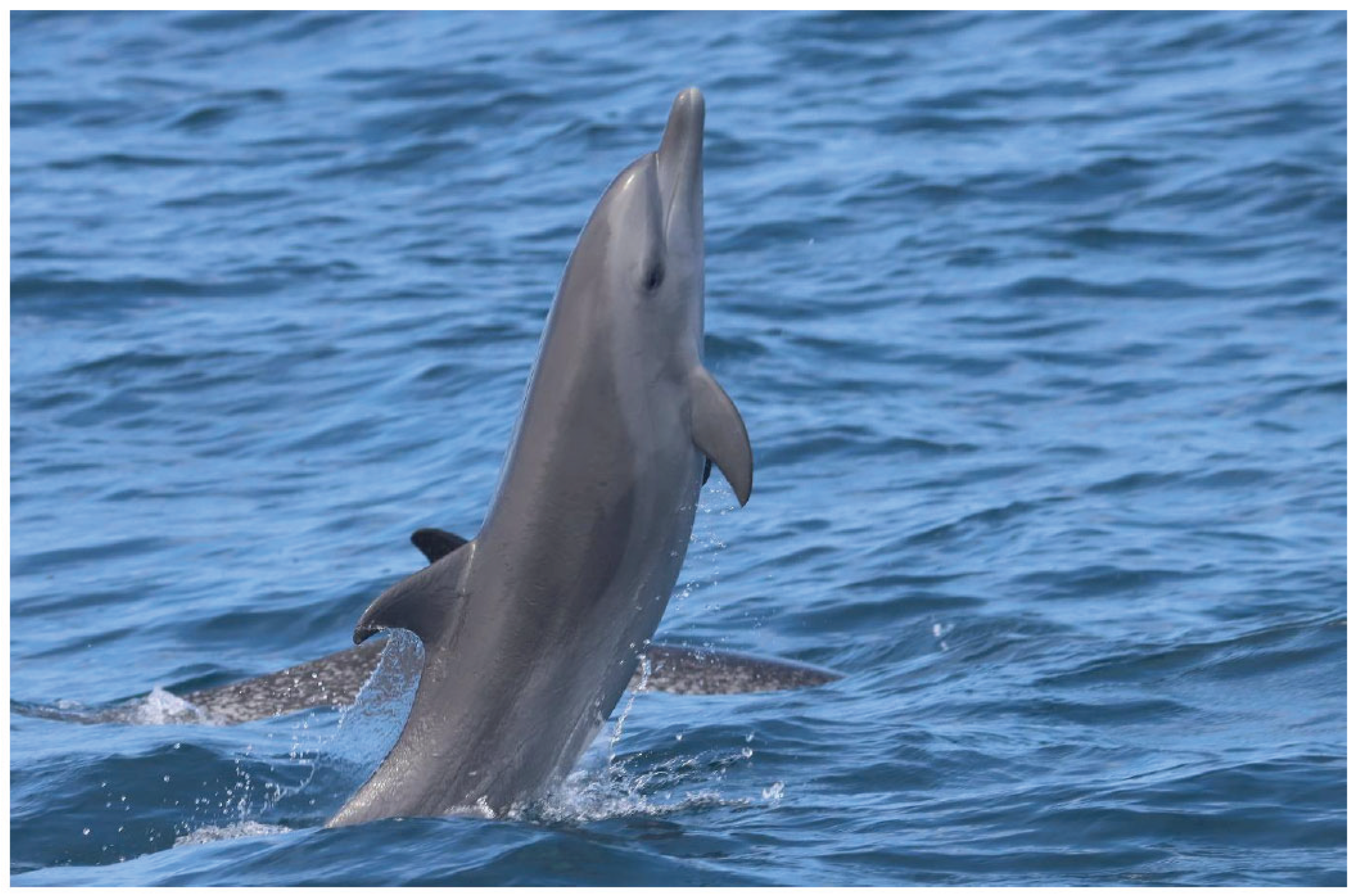 Preprints 197583 g005