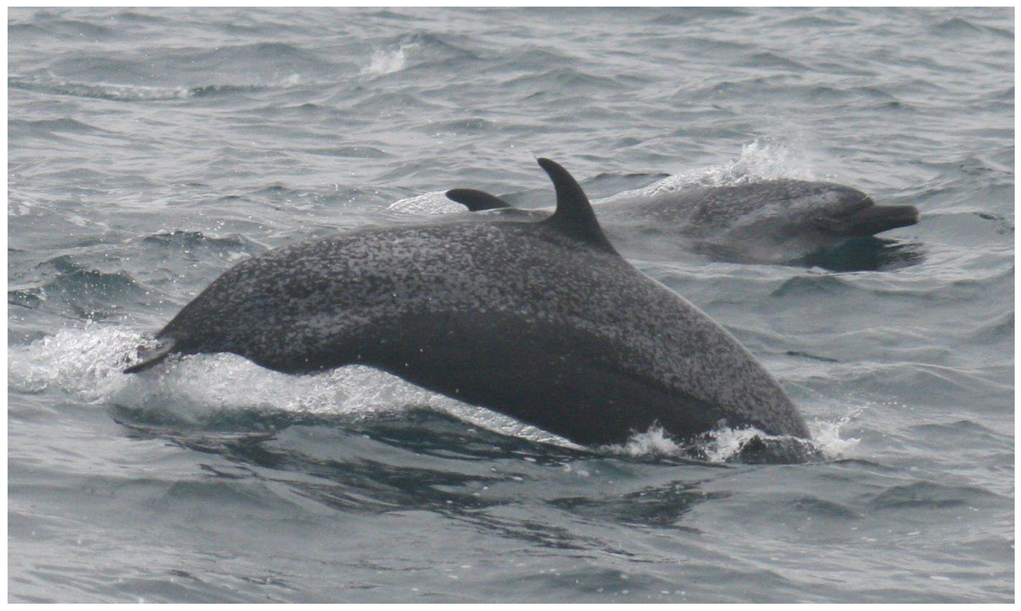 Preprints 197583 g007